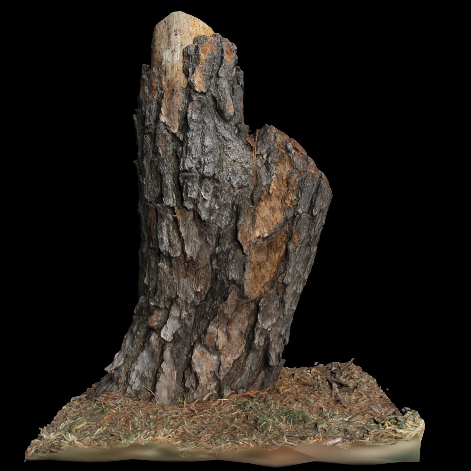 Trunk tree stump 3D model_4