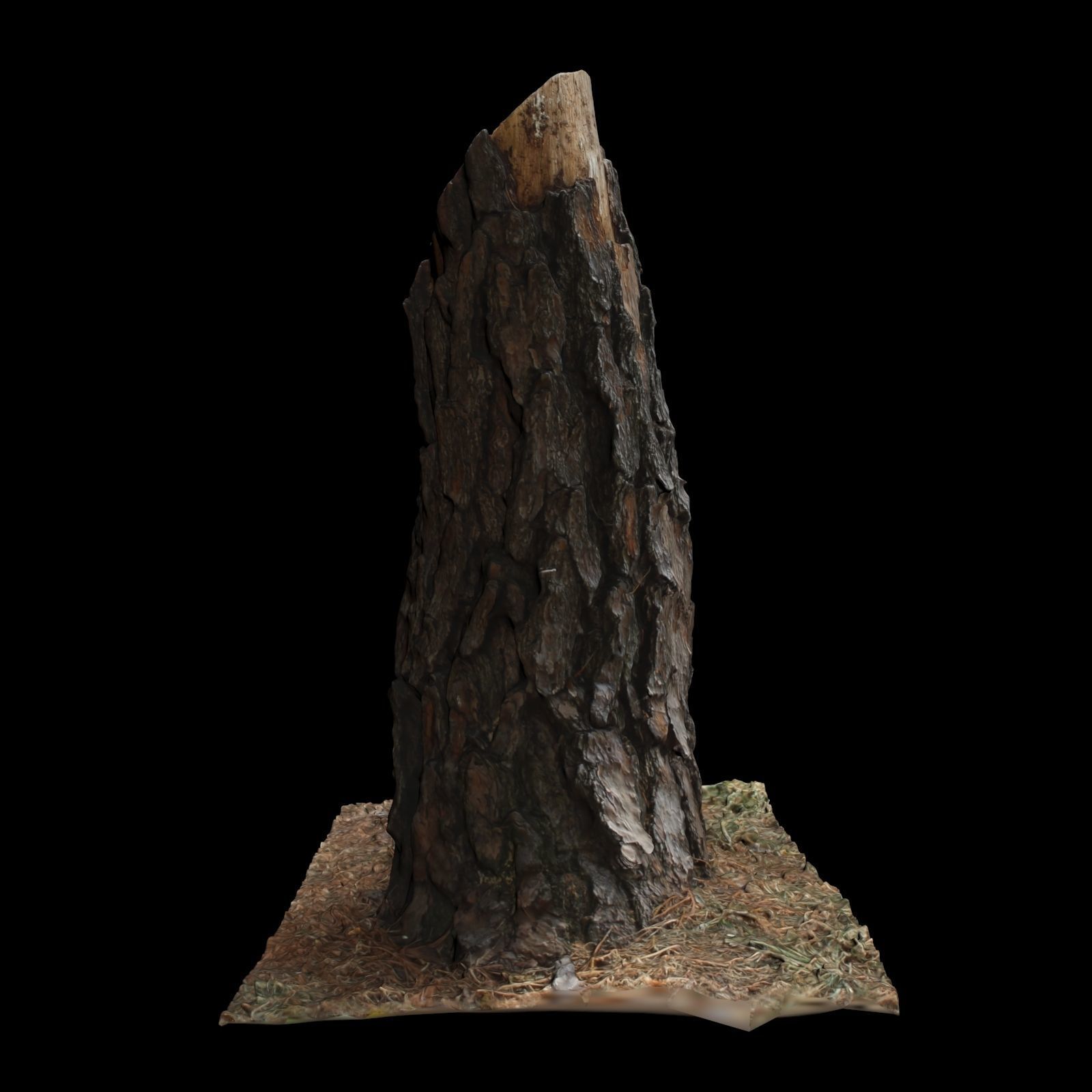 Trunk tree stump 3D model_3