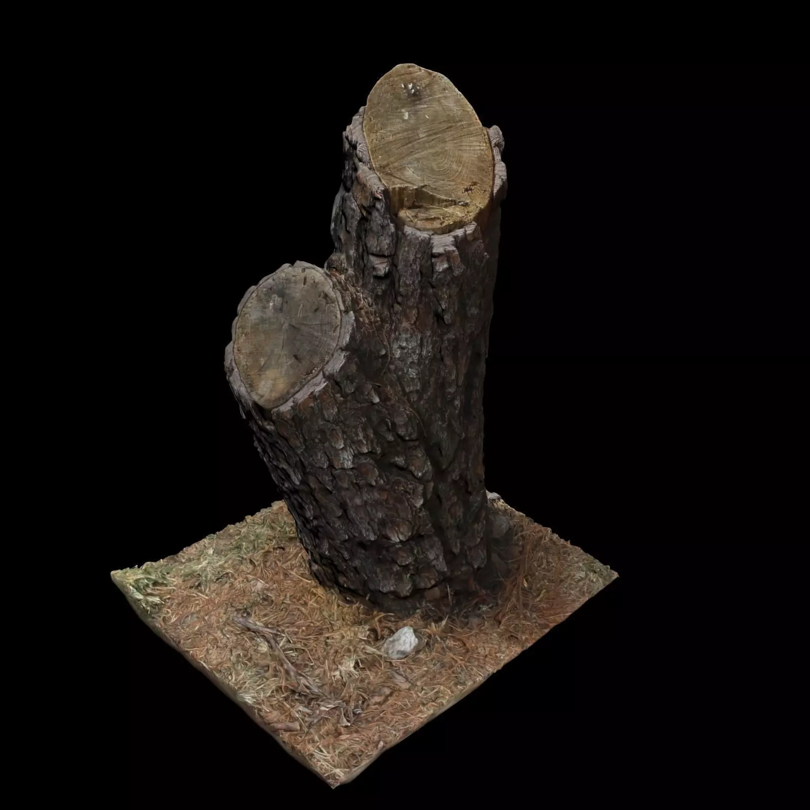 Trunk tree stump 3D model_0