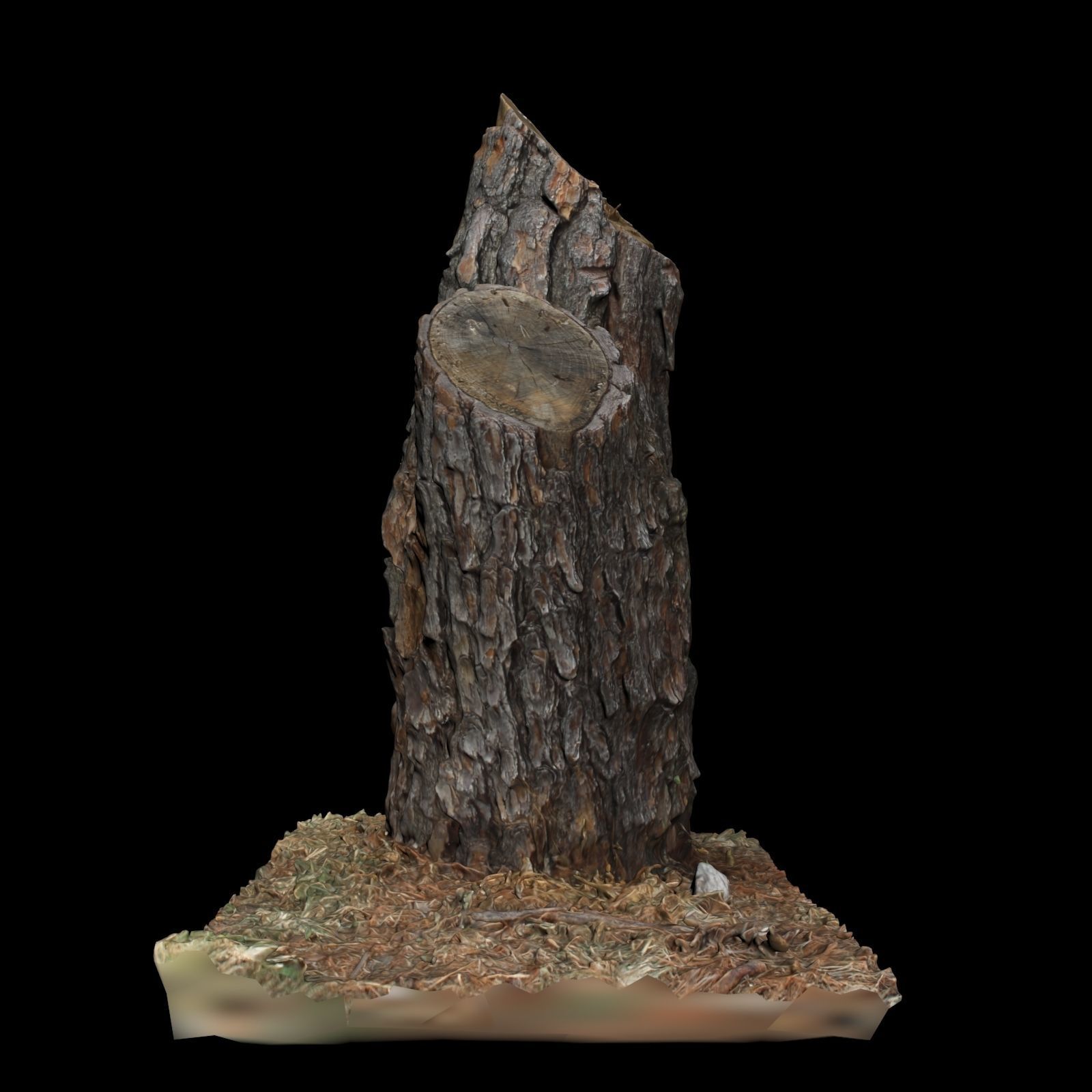 Trunk tree stump 3D model_5