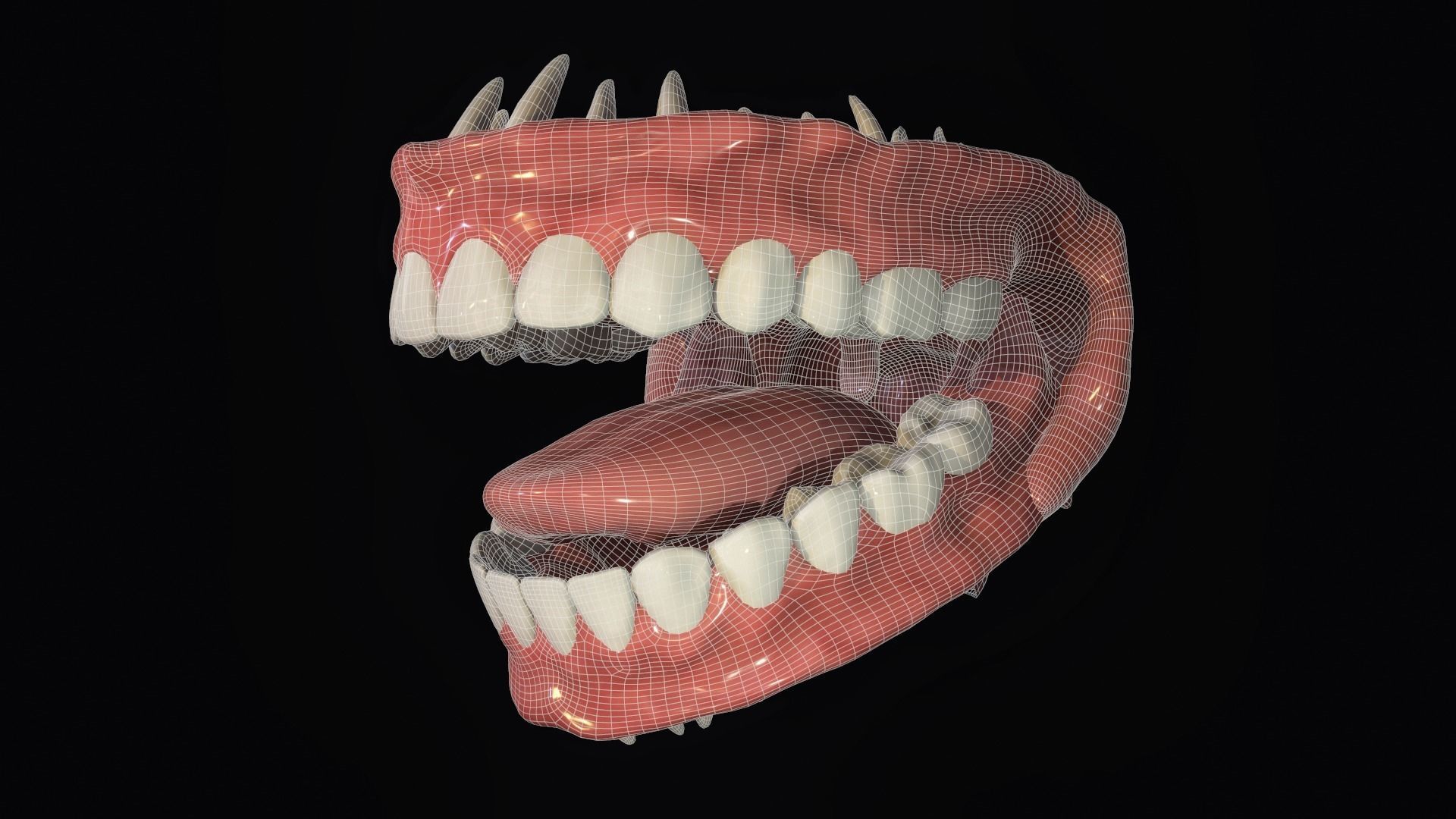 Teeth - Mouth for character Low-poly 3D model_13