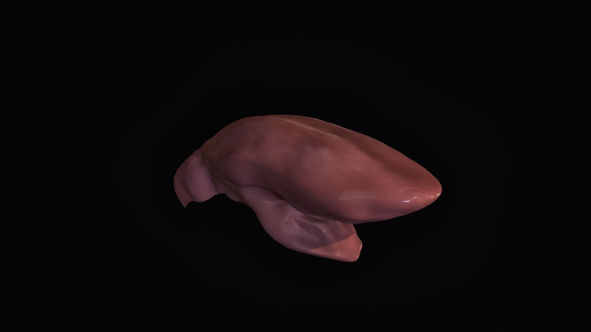 Teeth - Mouth for character Low-poly 3D model_11