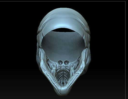 Skull Ring 3D print model_3