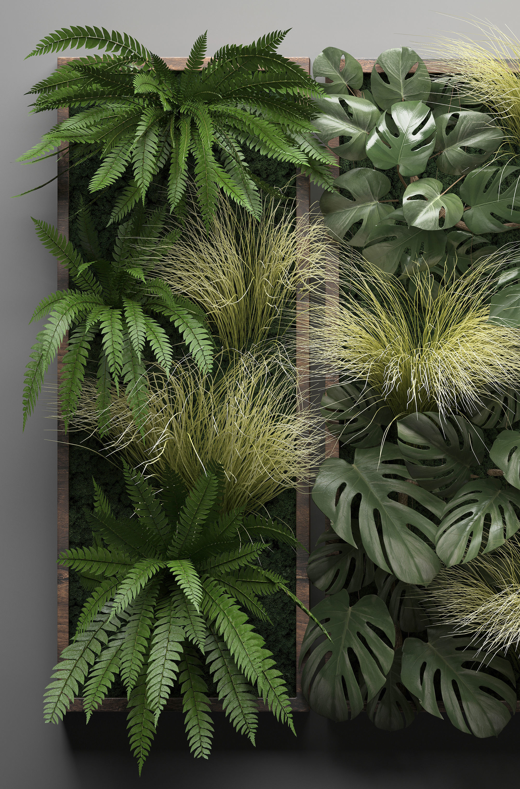 Vertical gardening Fern Wall 3D model_3
