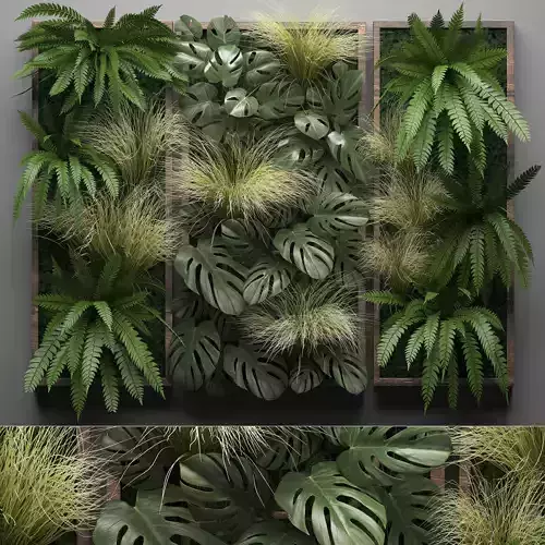 Vertical gardening Fern Wall 3D model