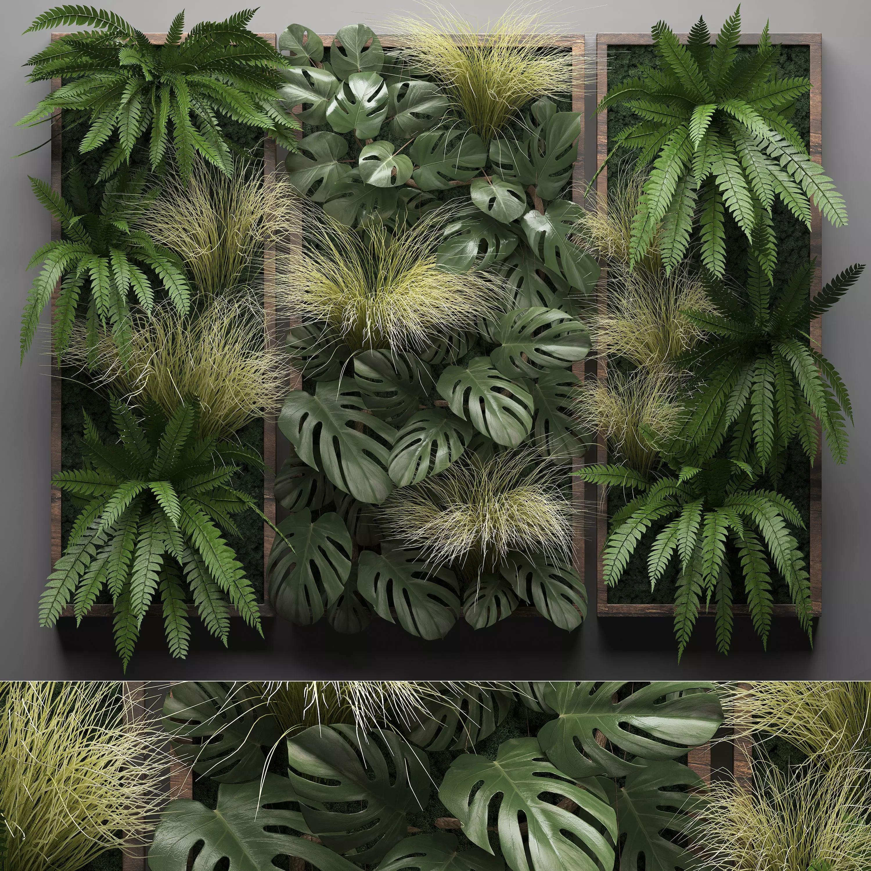 Vertical gardening Fern Wall 3D model_0