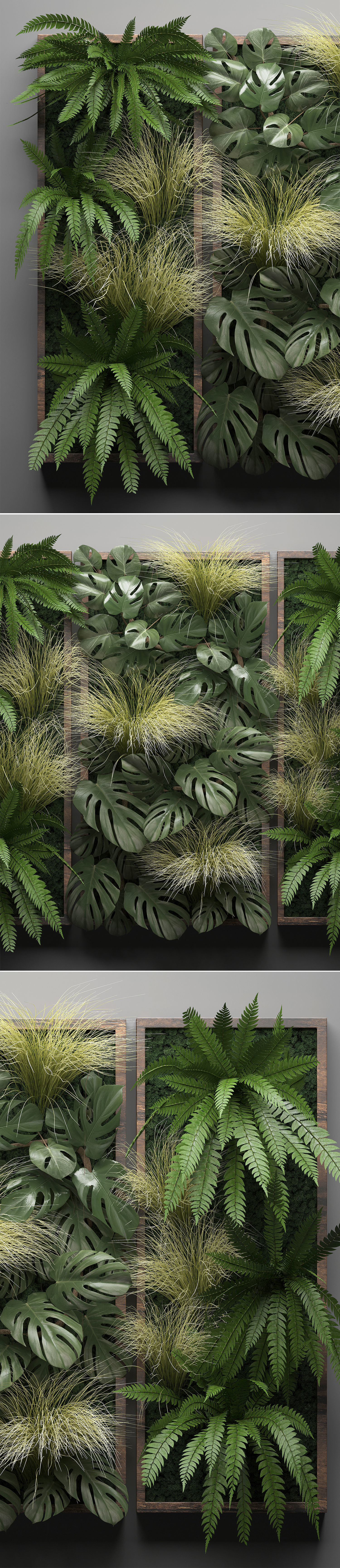 Vertical gardening Fern Wall 3D model_5