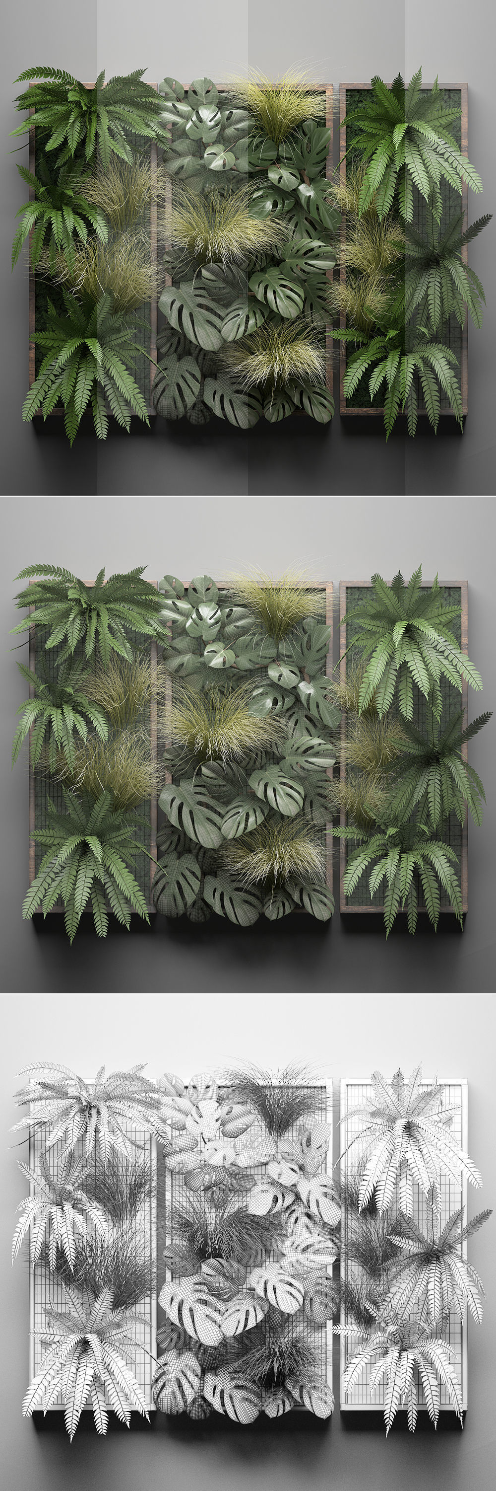 Vertical gardening Fern Wall 3D model_6
