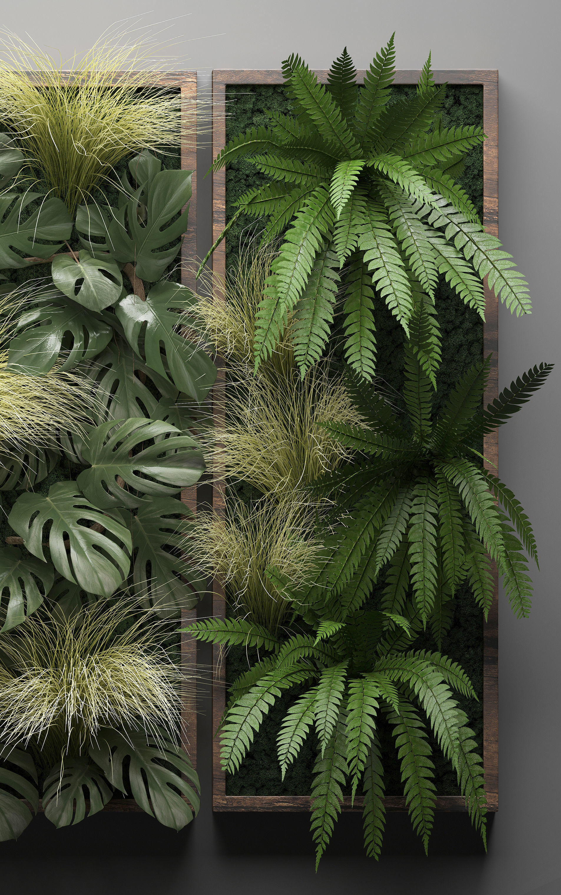 Vertical gardening Fern Wall 3D model_4