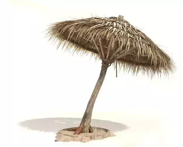 Beach Thatched Umbrella 3D model