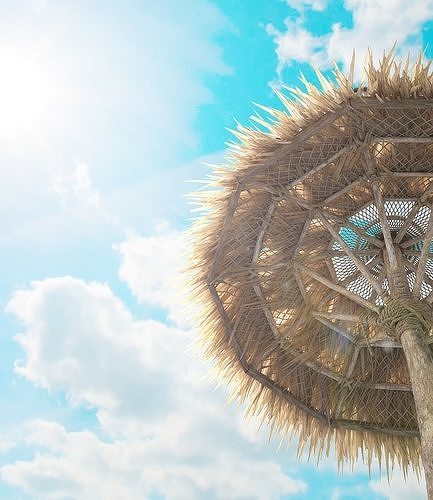 Beach Thatched Umbrella 3D model 2