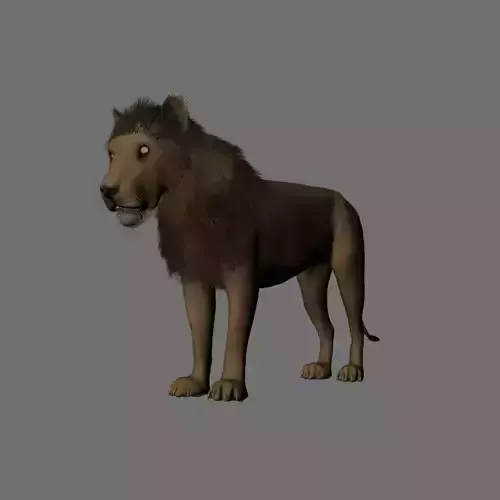 Rigged-Animated Lion