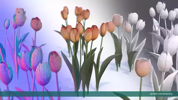 Tulips very LOW POLY detailed textures 63 variations
