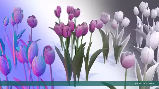 Tulips very LOW POLY detailed textures 63 variations Low-poly 3D model