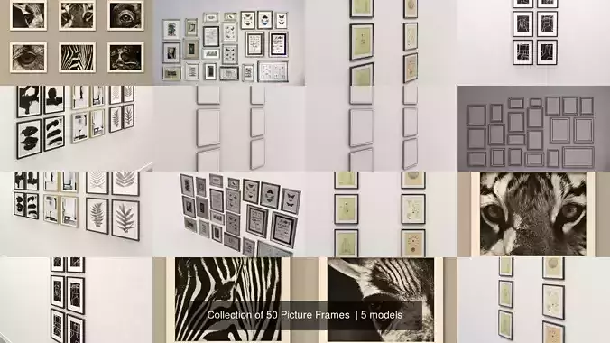 Collection of 50 Picture Frames 
