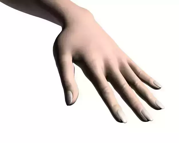Female hand 03