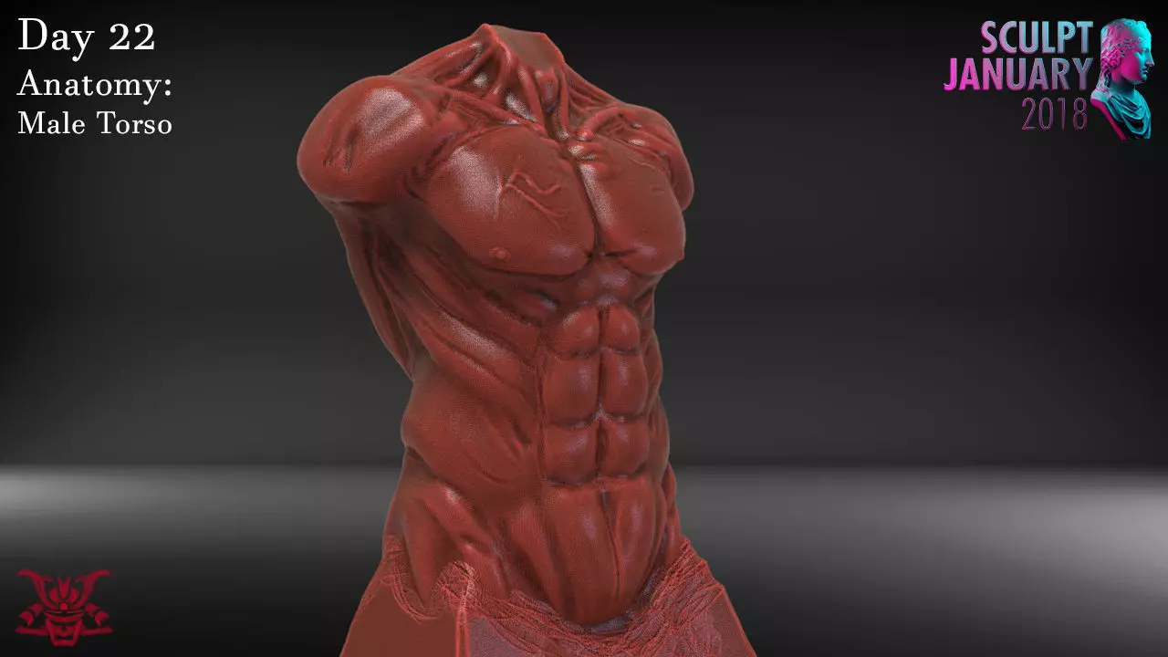 Male Torso Sculpture Timelapse and Model 3D print model