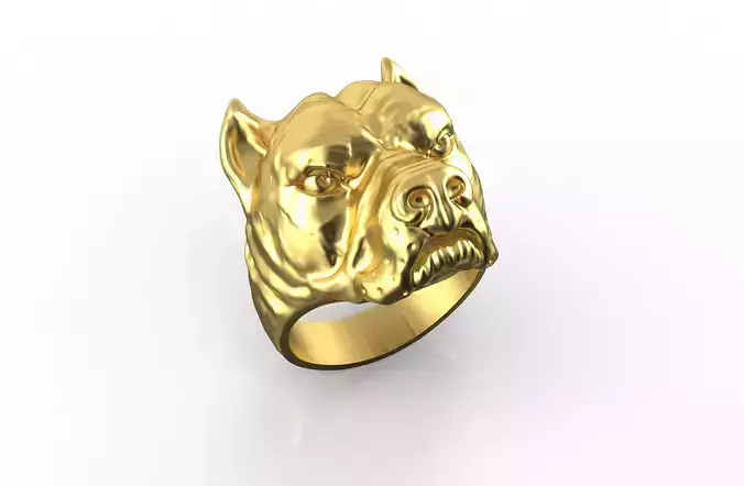 Pitbull Dog Rings 2