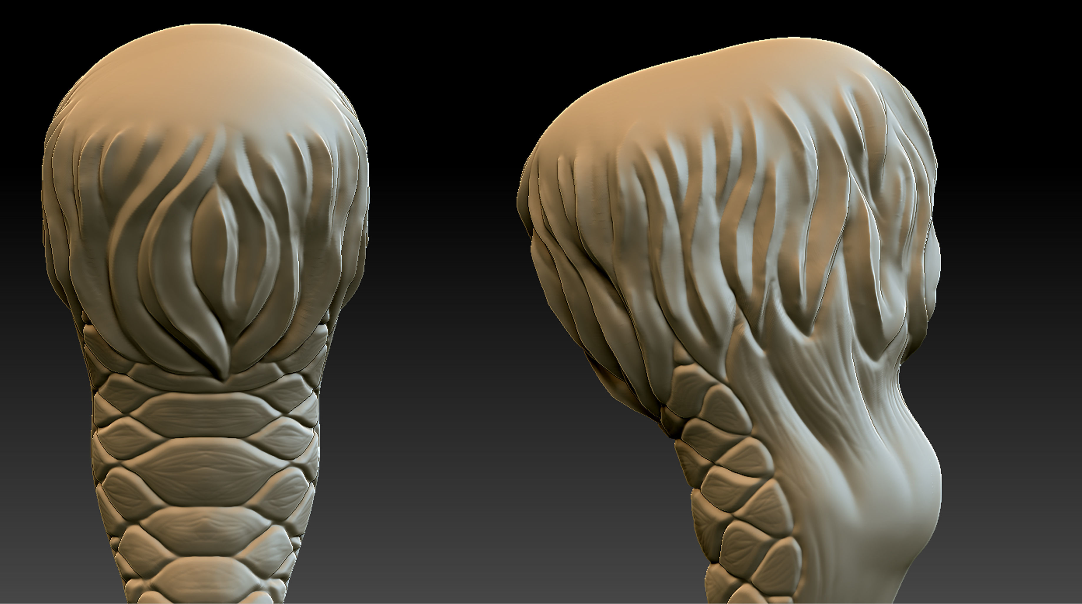 Chicken Leg 3D print model_1