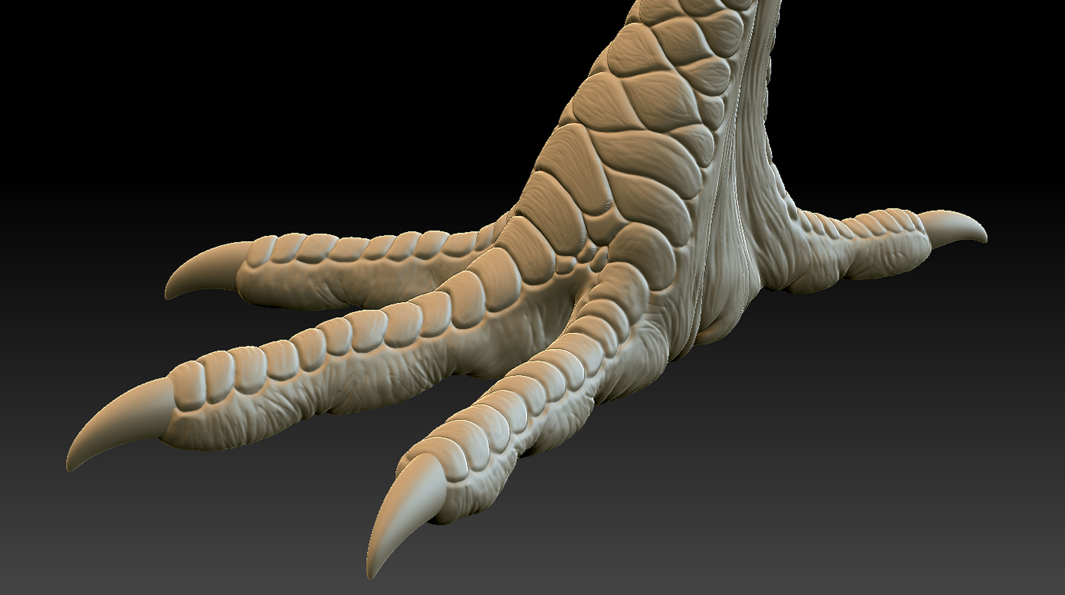 Chicken Leg 3D print model_5