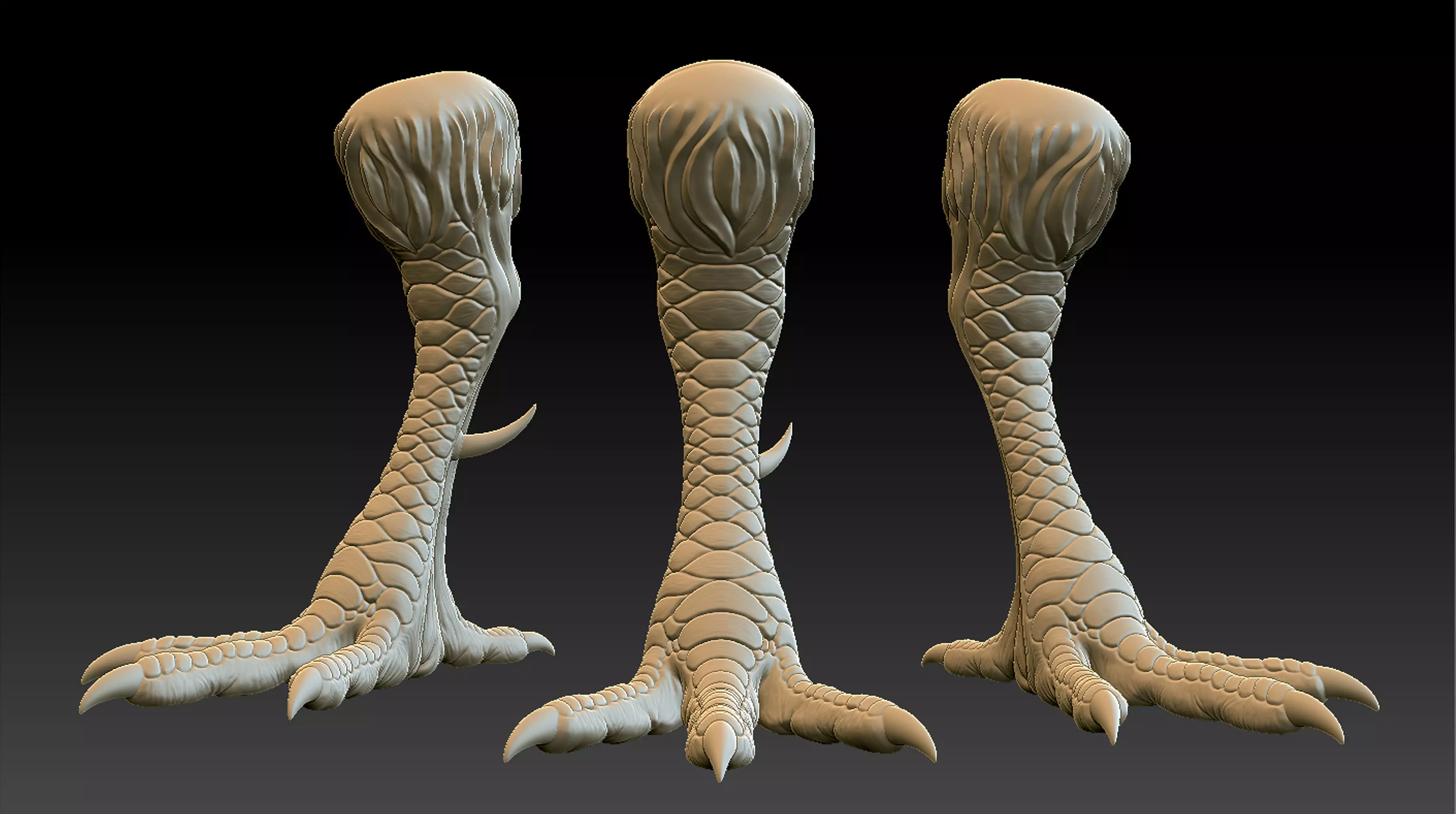 Chicken Leg 3D print model_0