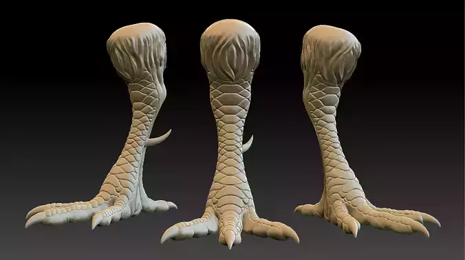 Chicken Leg 3D print model
