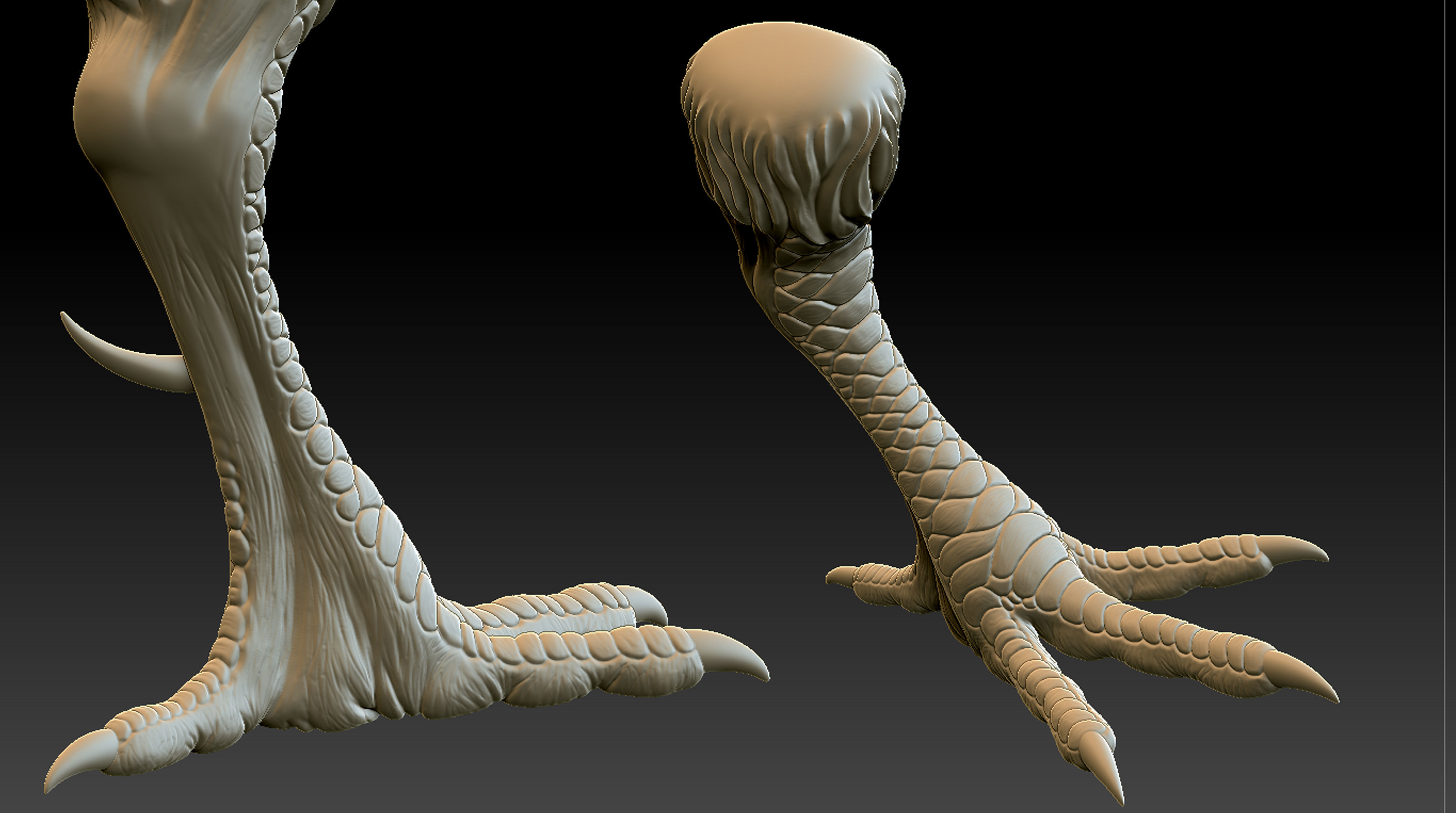 Chicken Leg 3D print model_7