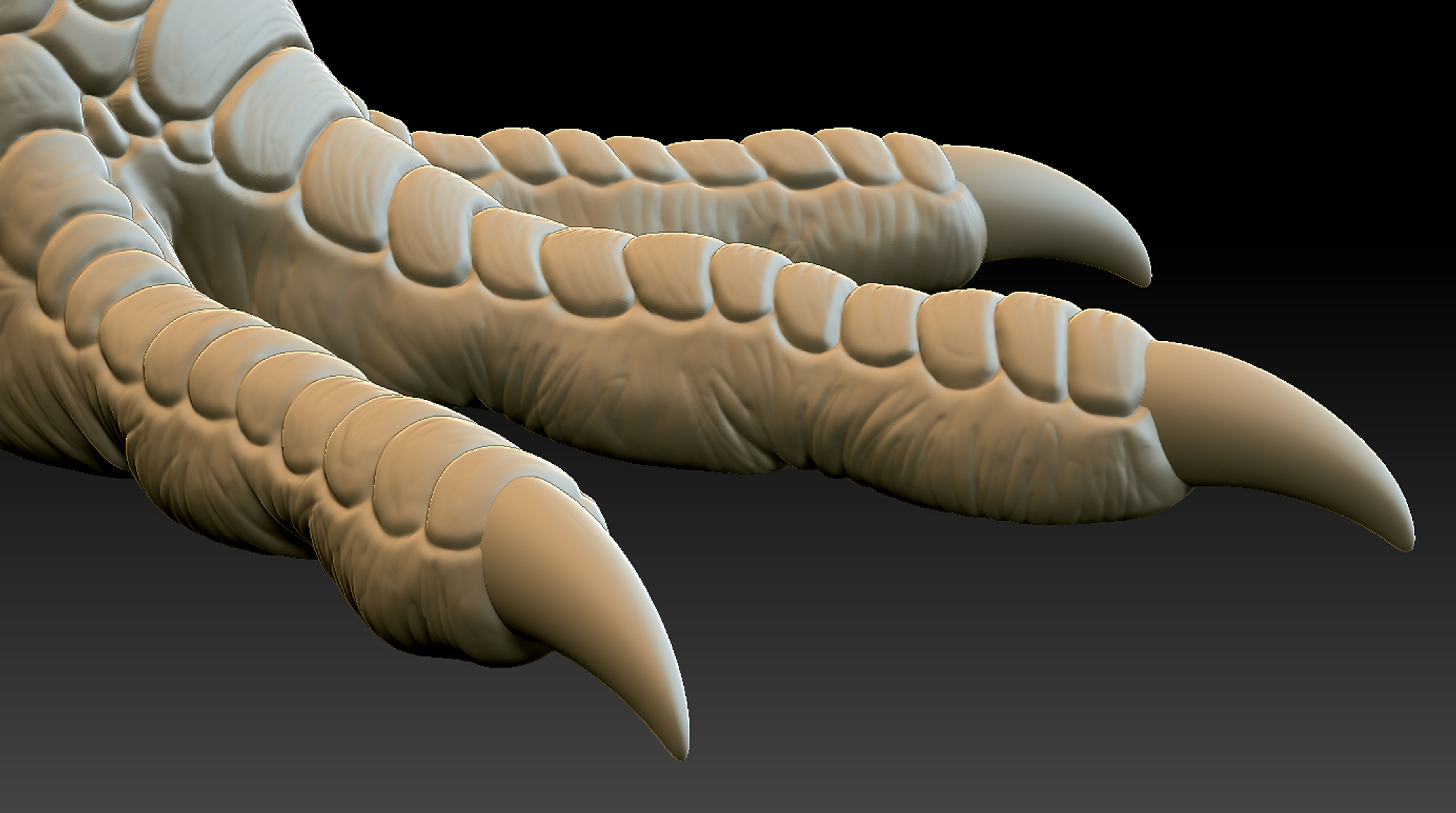 Chicken Leg 3D print model_8