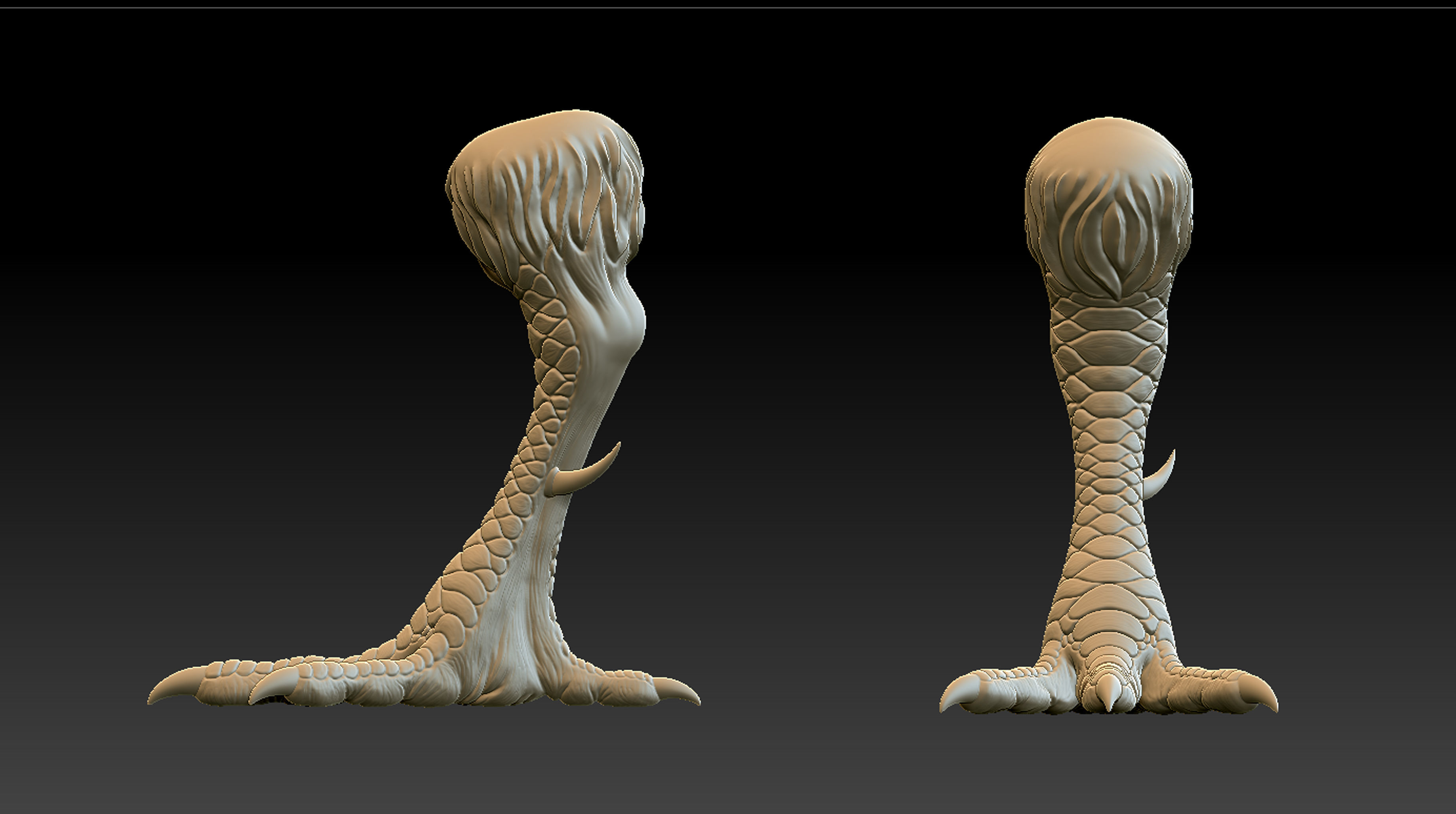 Chicken Leg 3D print model_2