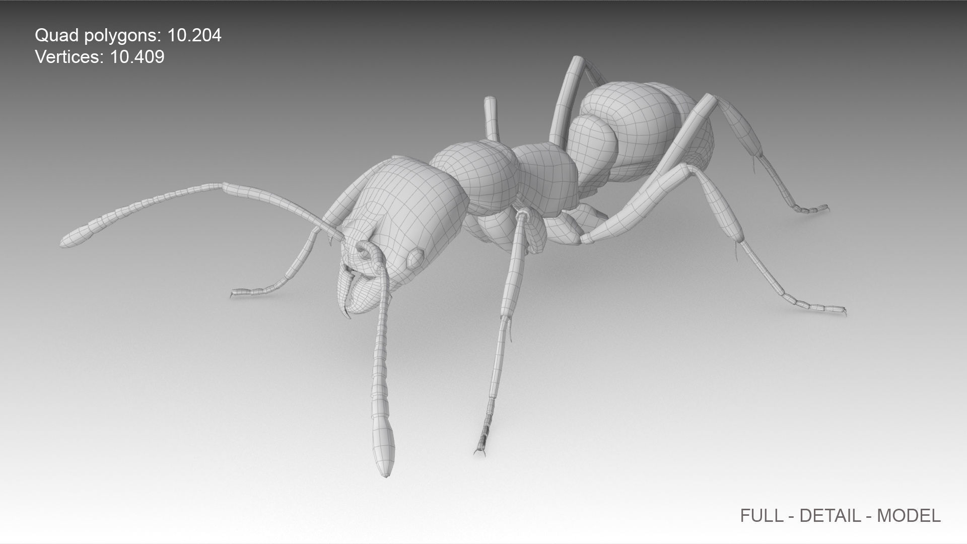 Asian needle ant Low-poly 3D model_8