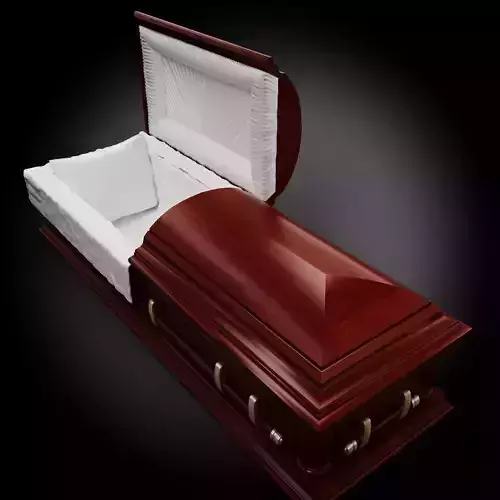 High Def Classic Coffin wood 05 3D model