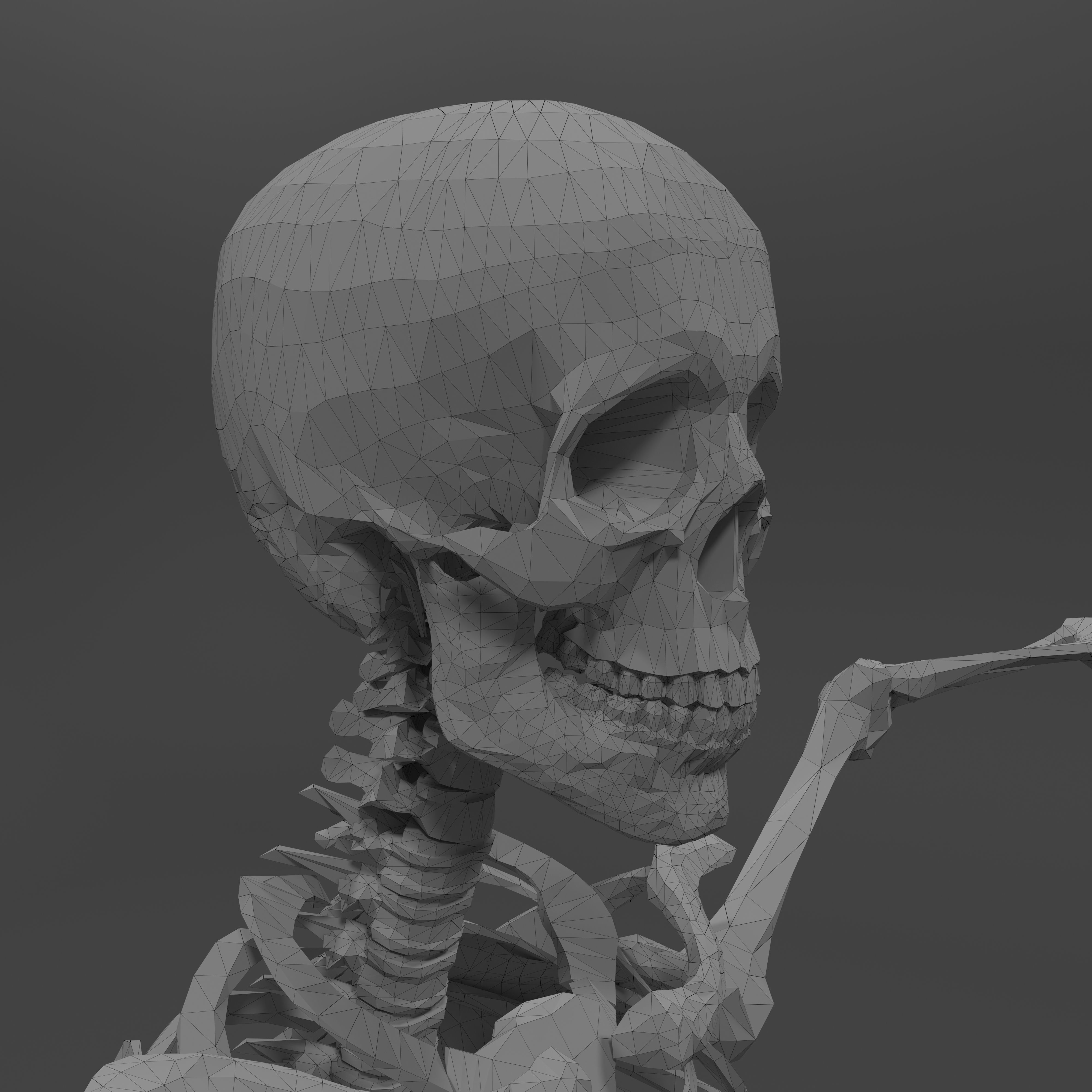 Human Skeleton Low-poly 3D model_19