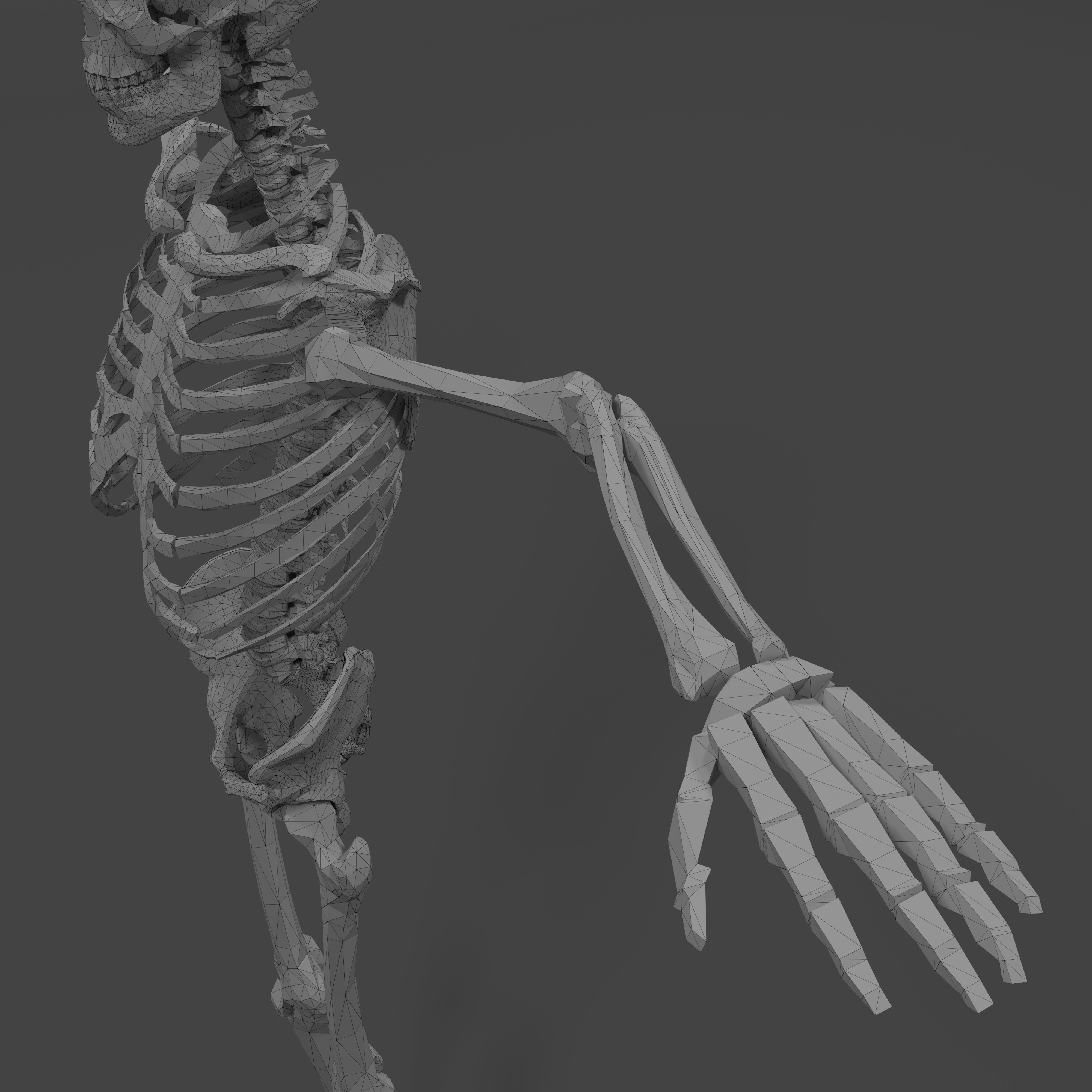 Human Skeleton Low-poly 3D model_21