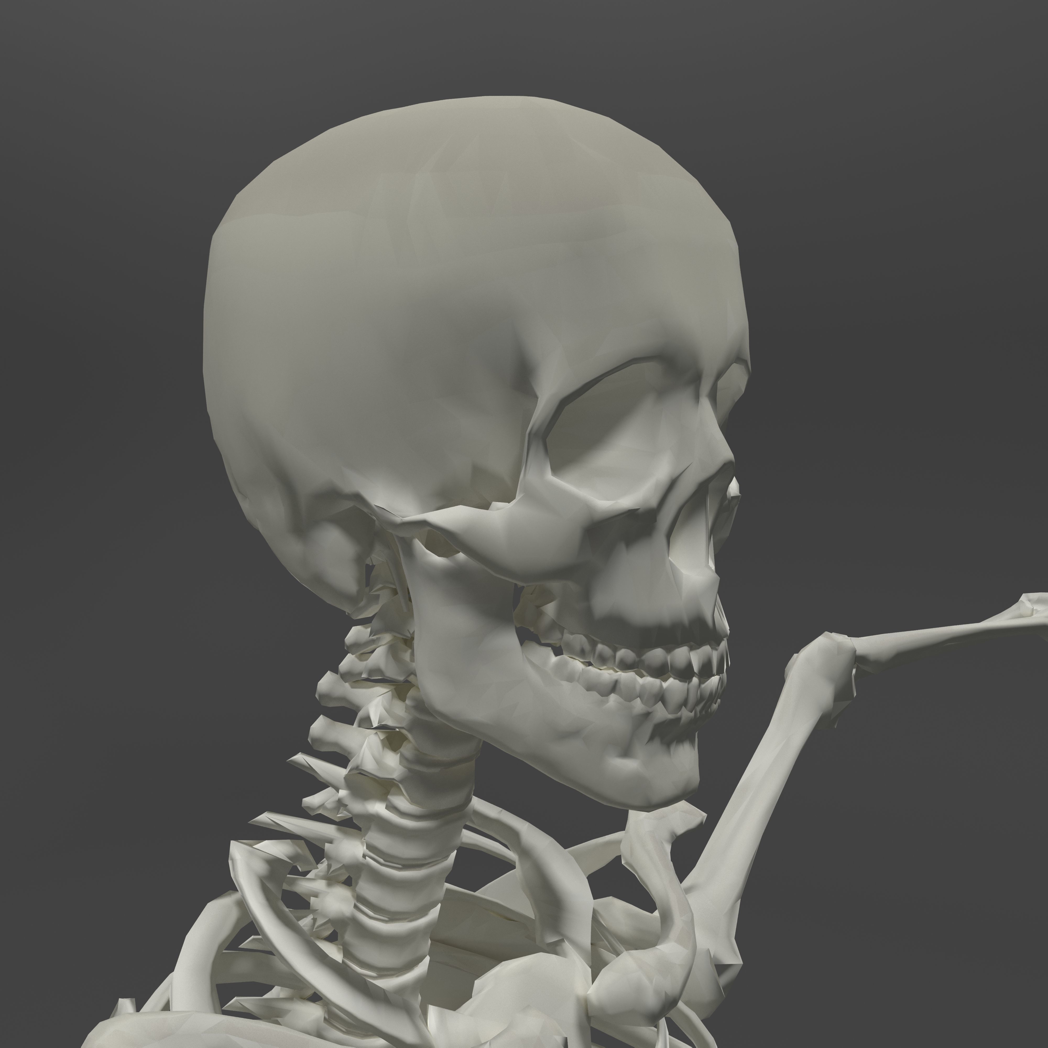 Human Skeleton Low-poly 3D model_5