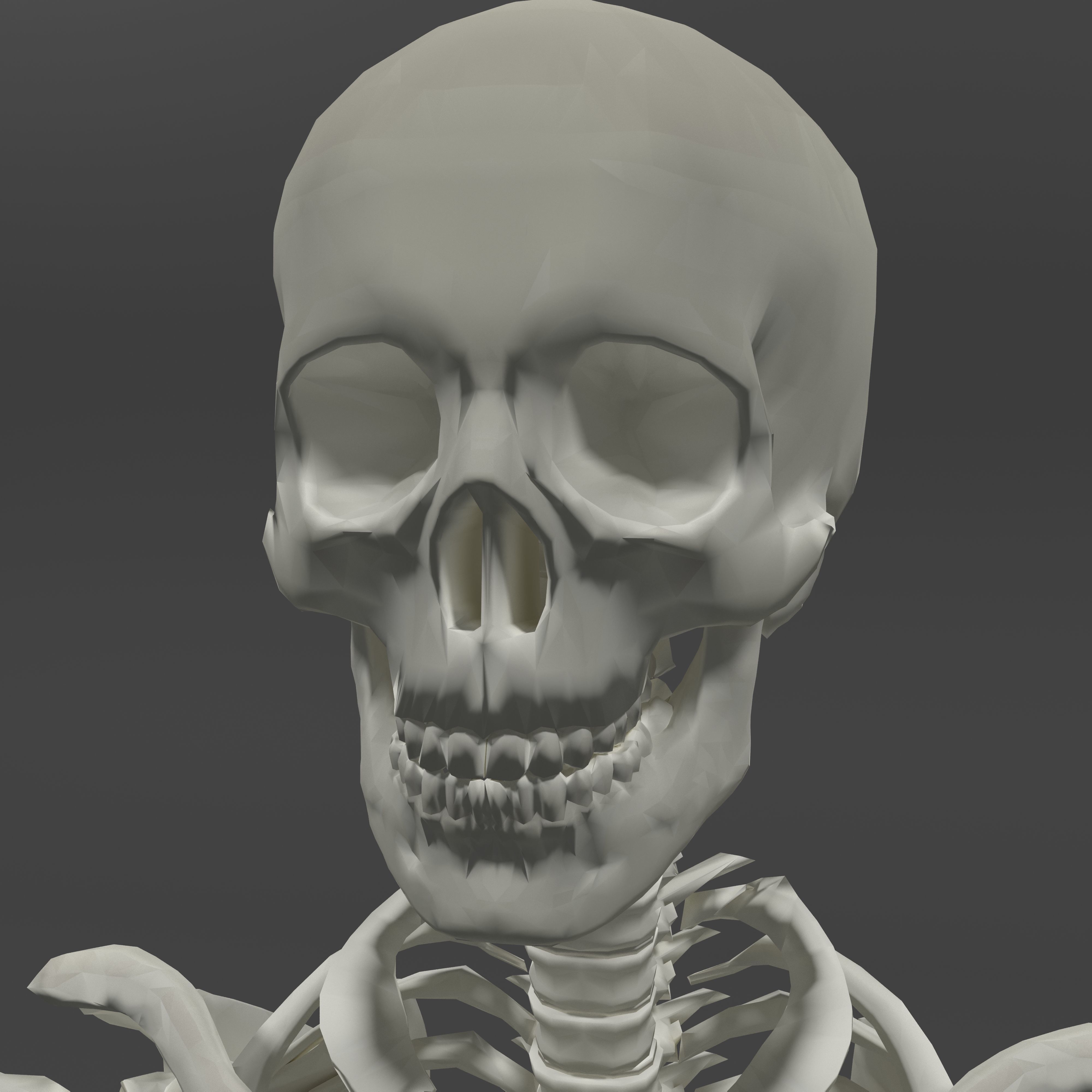 Human Skeleton Low-poly 3D model_6