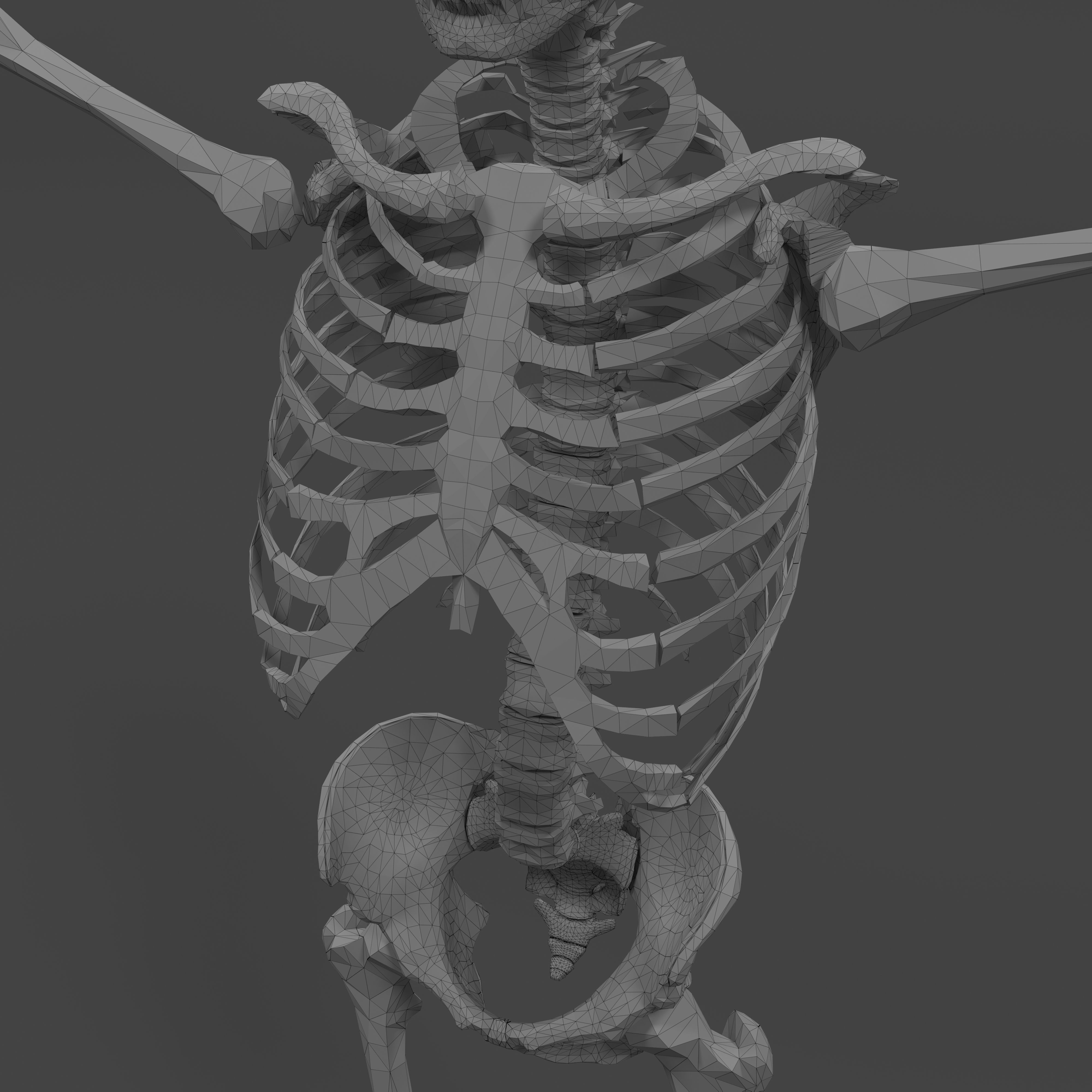 Human Skeleton Low-poly 3D model_22