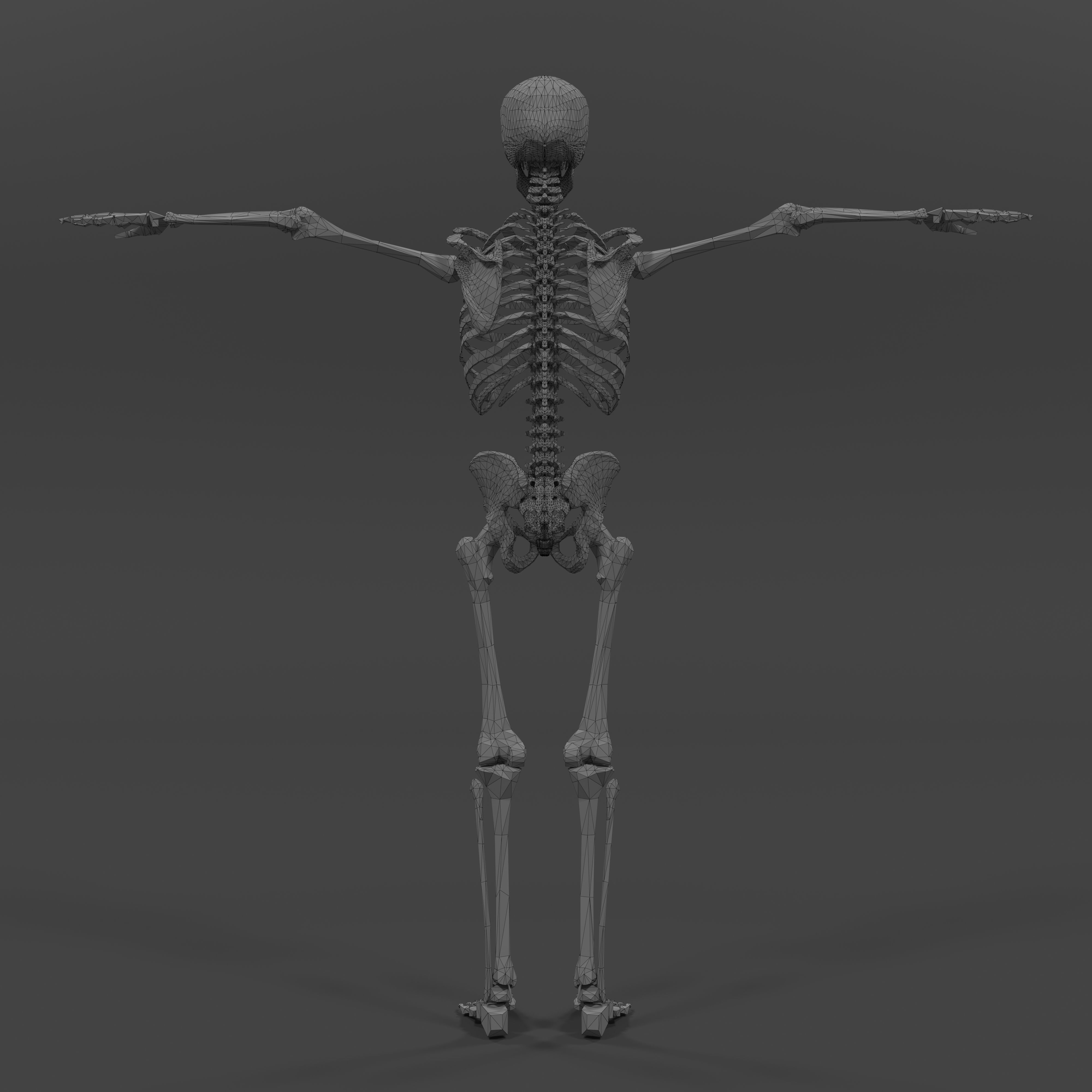 Human Skeleton Low-poly 3D model_16