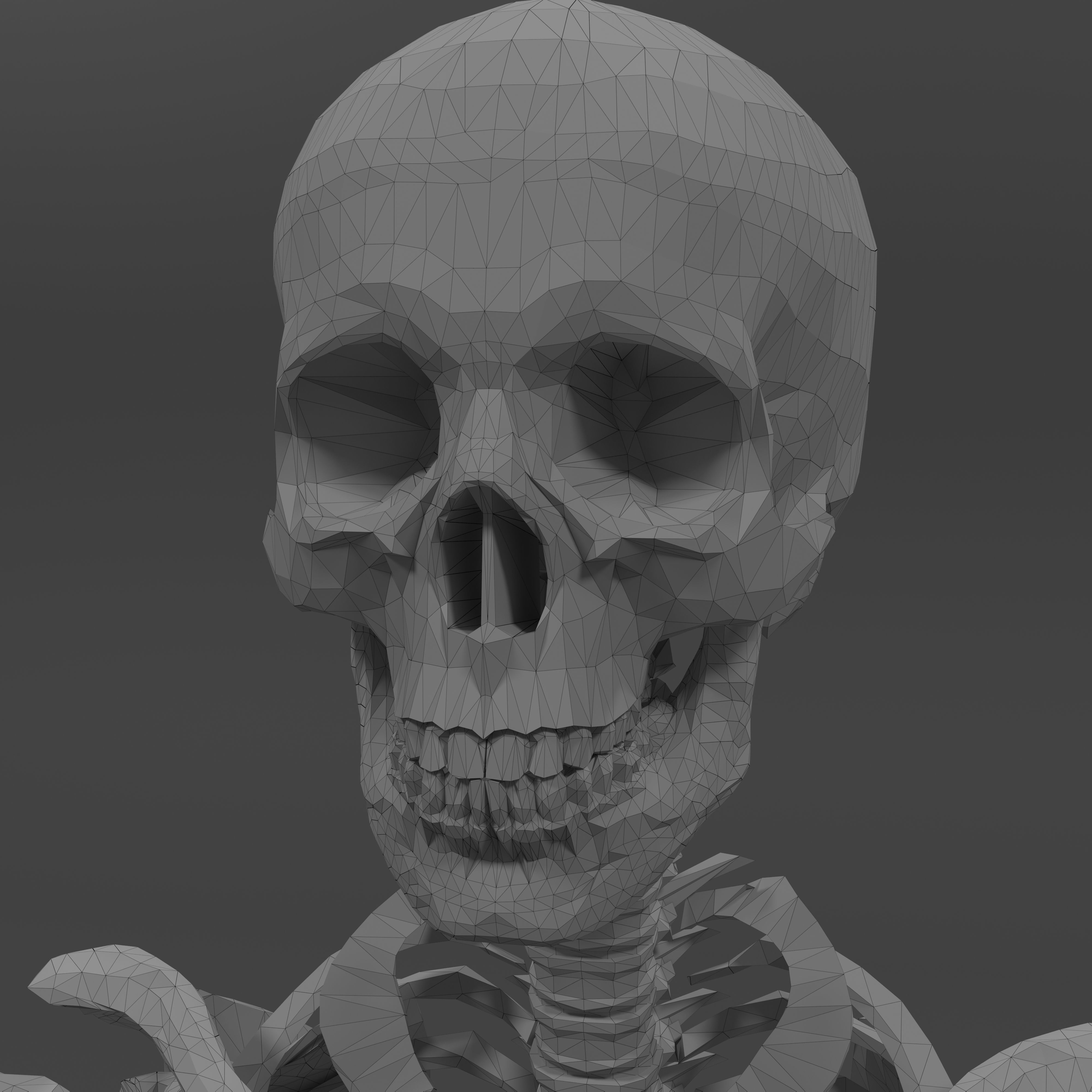 Human Skeleton Low-poly 3D model_20