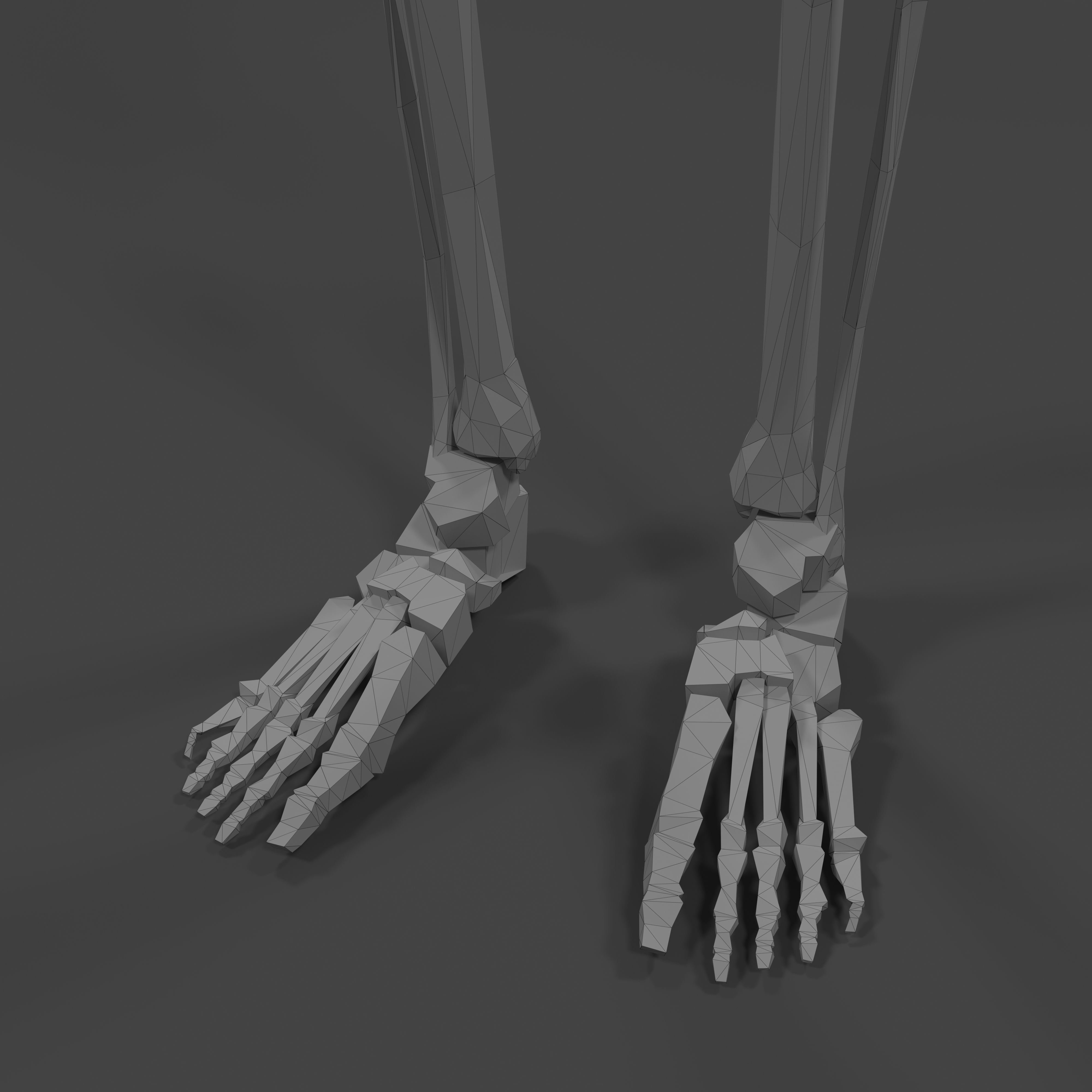 Human Skeleton Low-poly 3D model_24