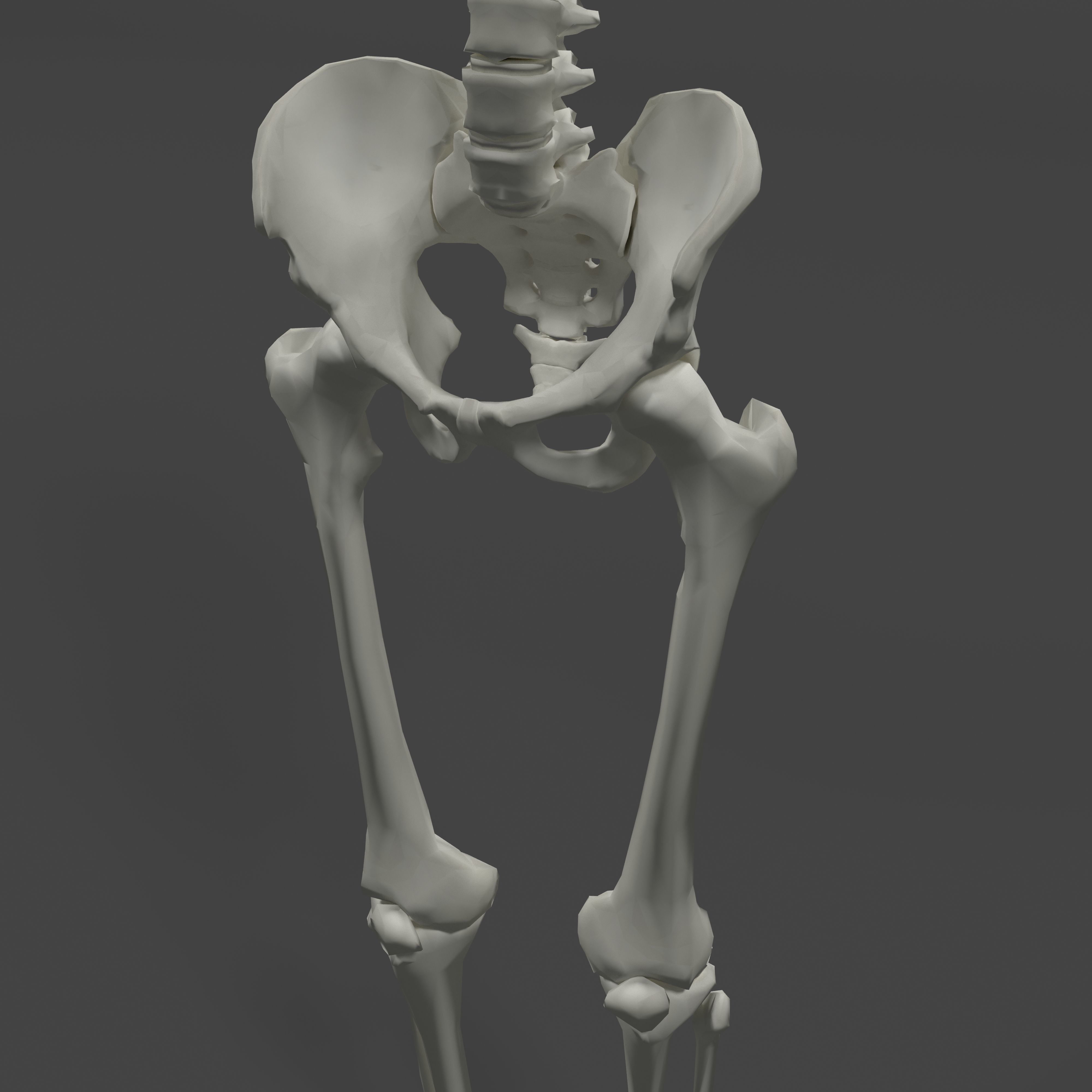 Human Skeleton Low-poly 3D model_10