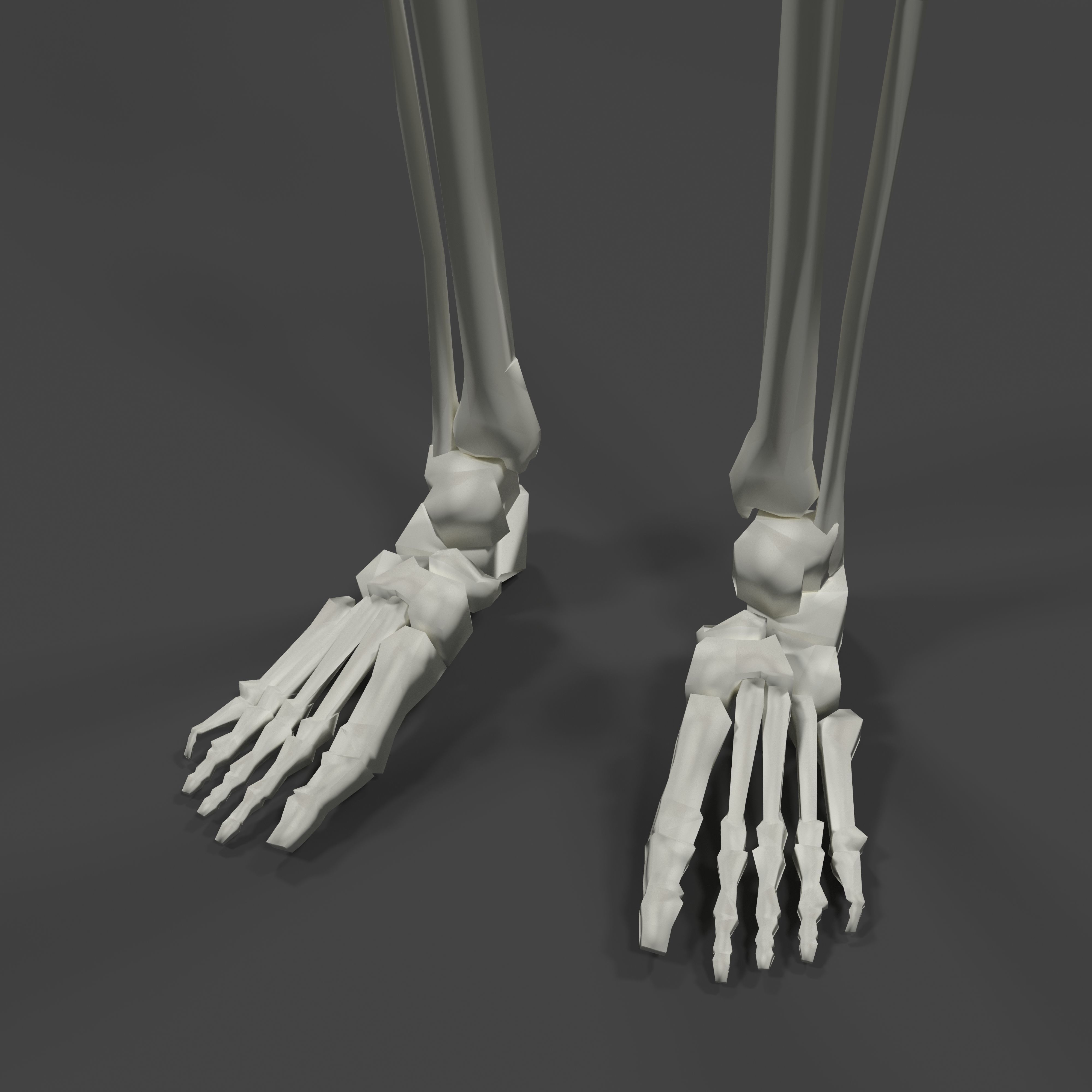 Human Skeleton Low-poly 3D model_11