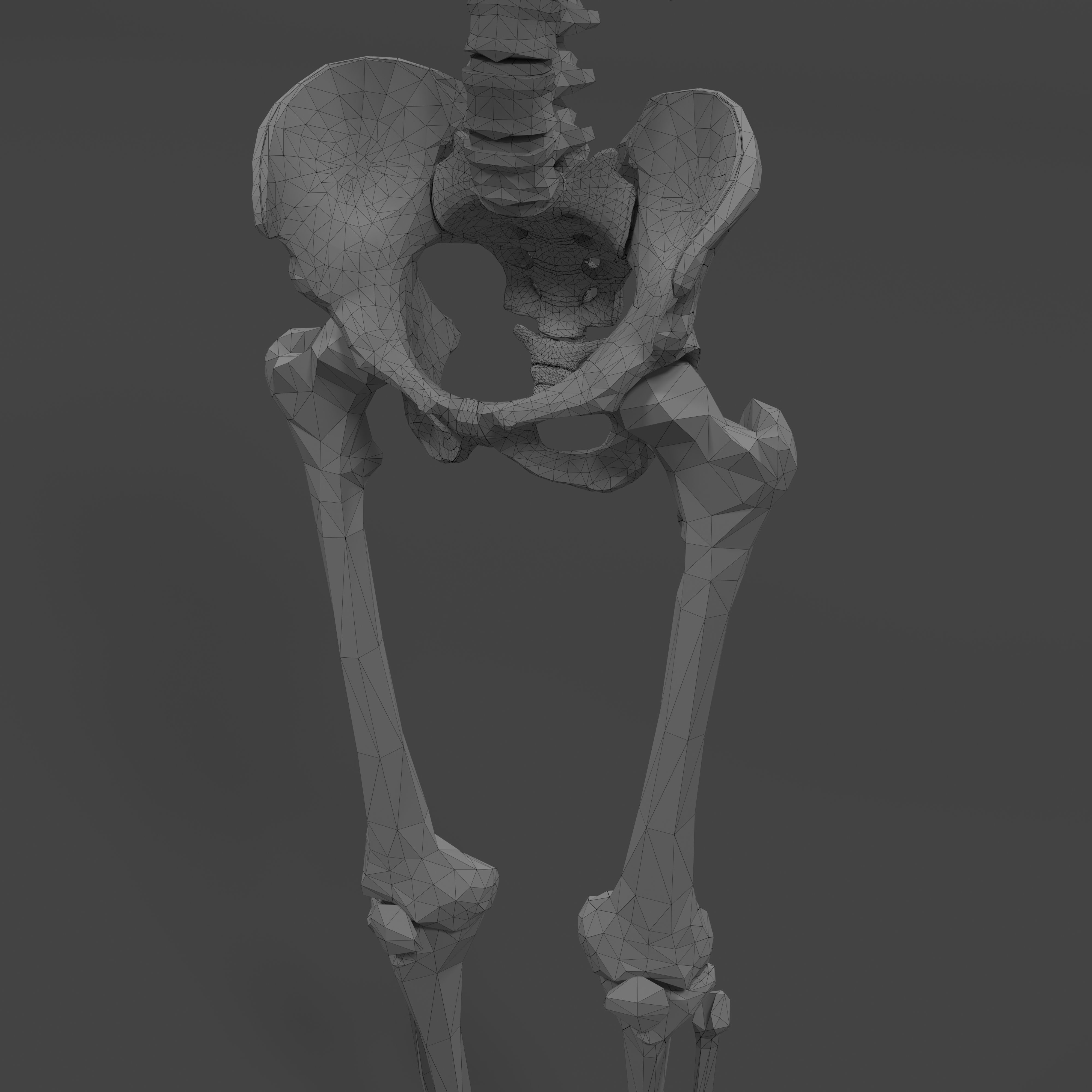 Human Skeleton Low-poly 3D model_23