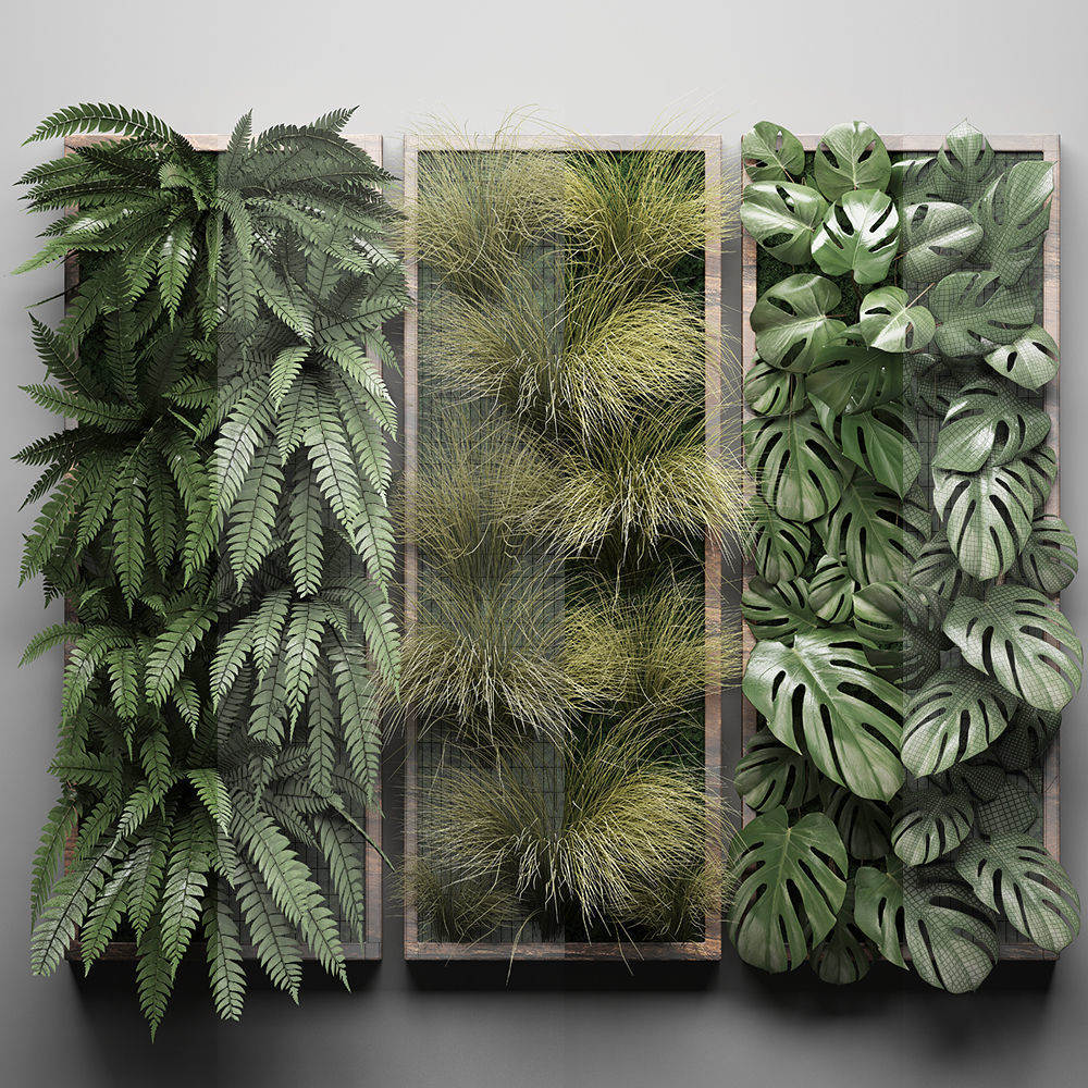 Vertical gardening Fern Wall 3 3D model_7