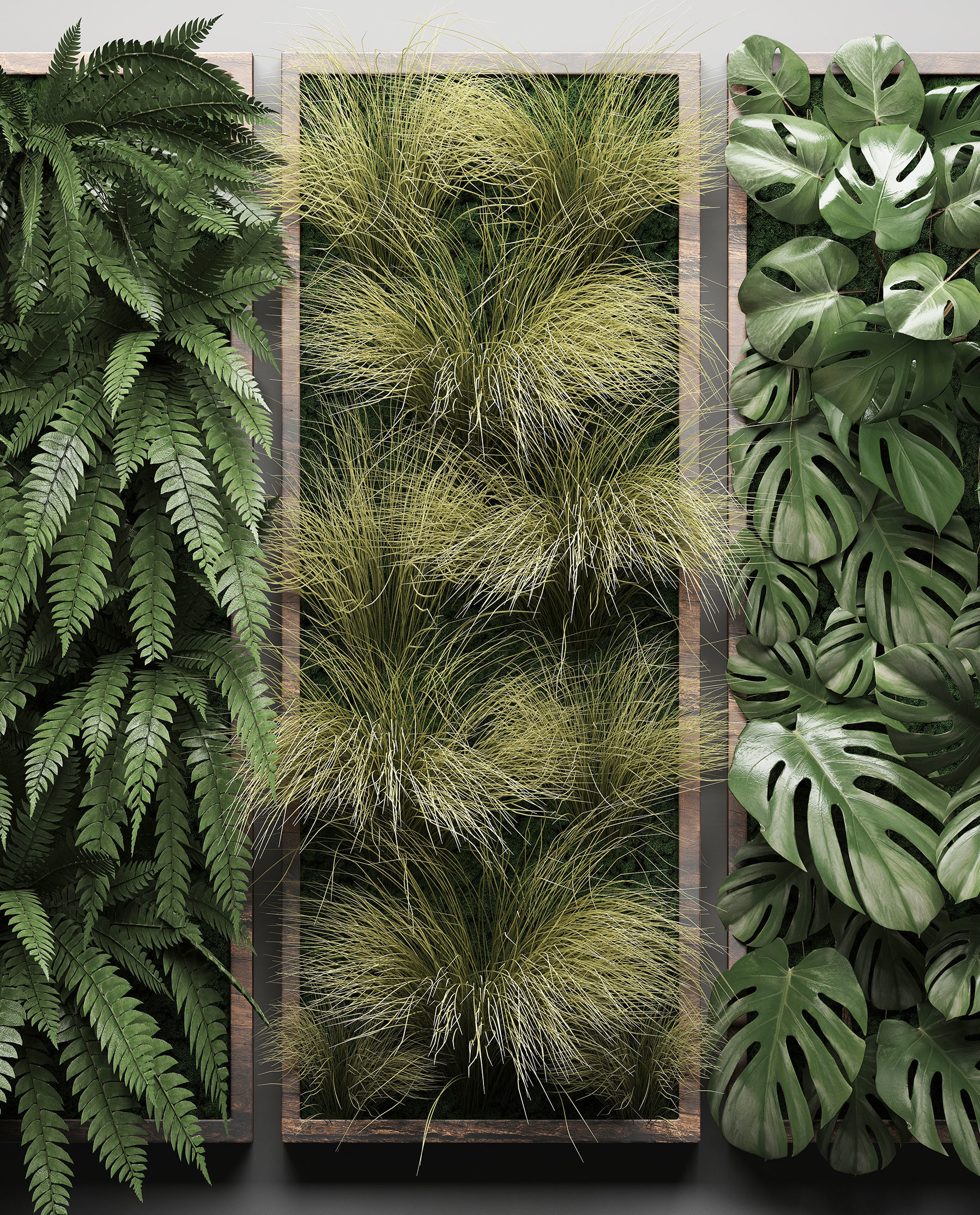 Vertical gardening Fern Wall 3 3D model_4