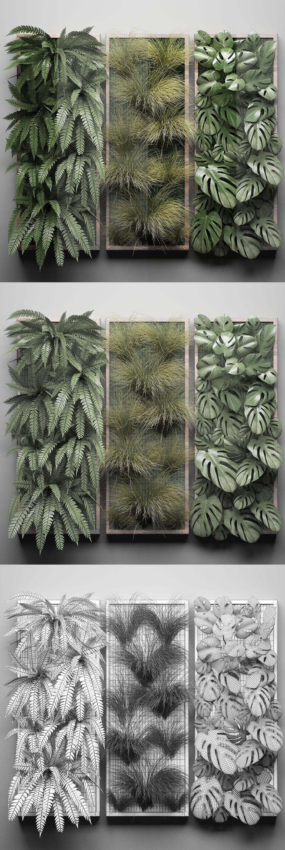 Vertical gardening Fern Wall 3 3D model_6