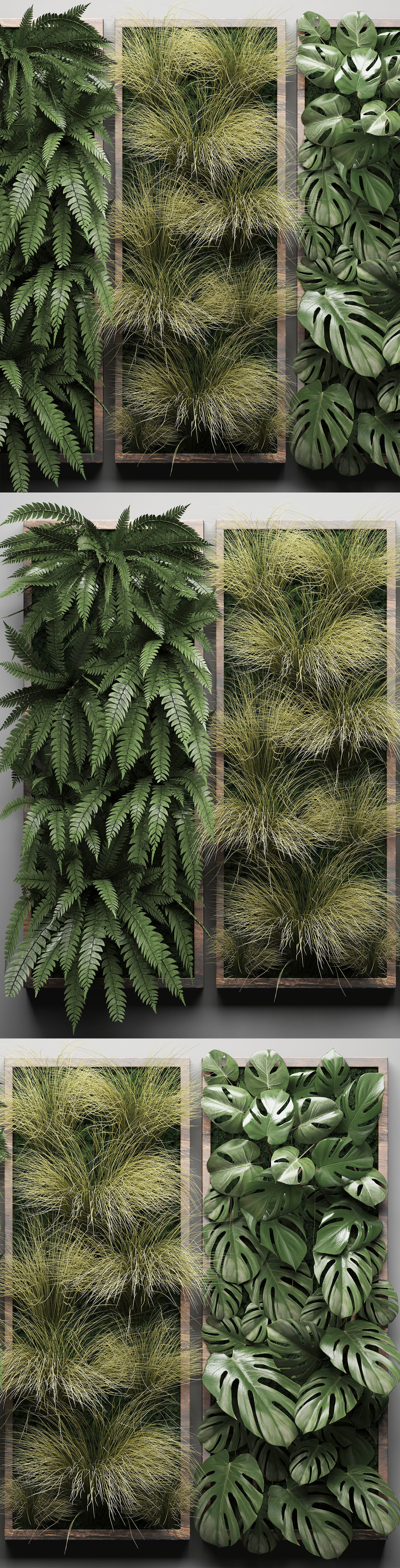 Vertical gardening Fern Wall 3 3D model_5