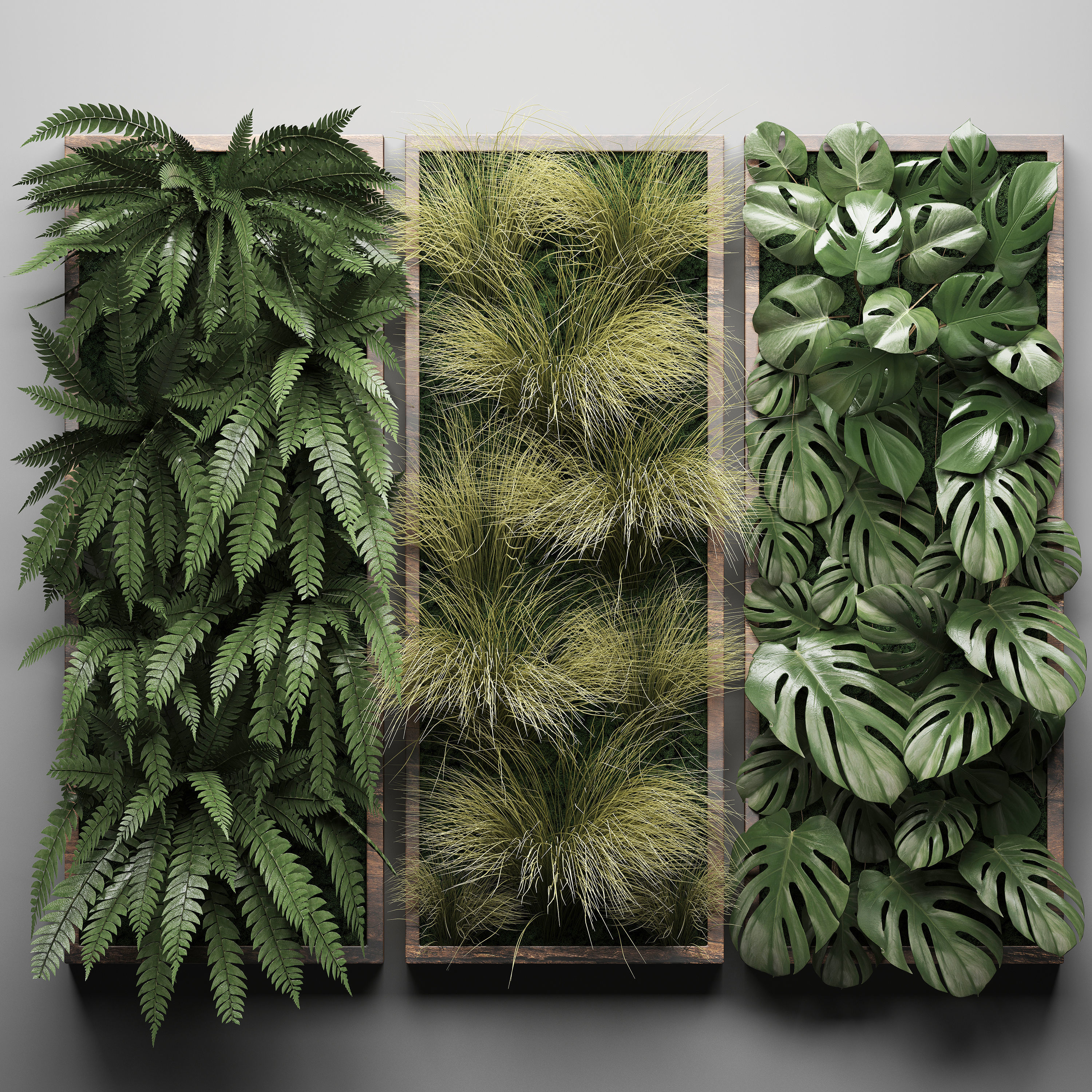 Vertical gardening Fern Wall 3 3D model_1