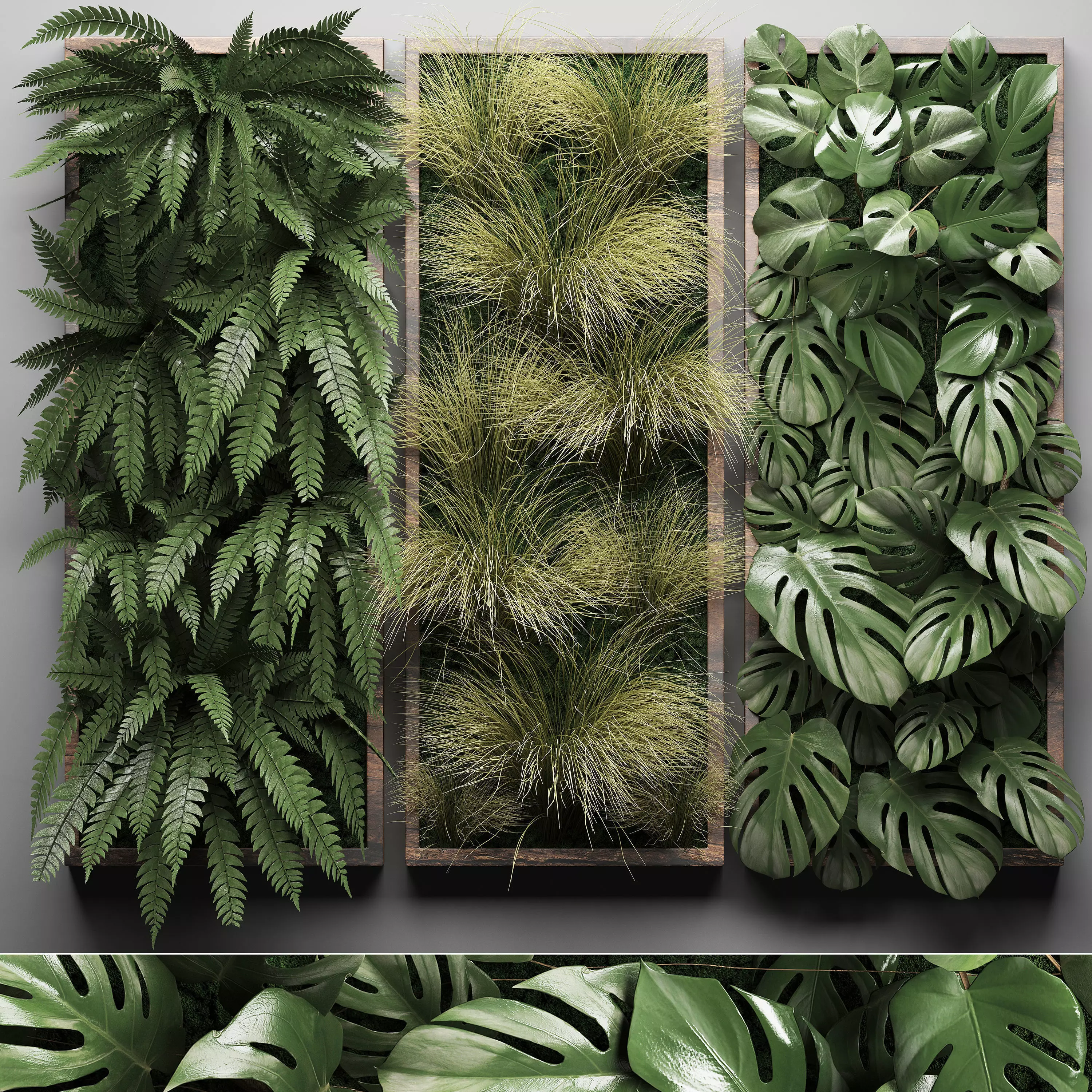 Vertical gardening Fern Wall 3 3D model_0