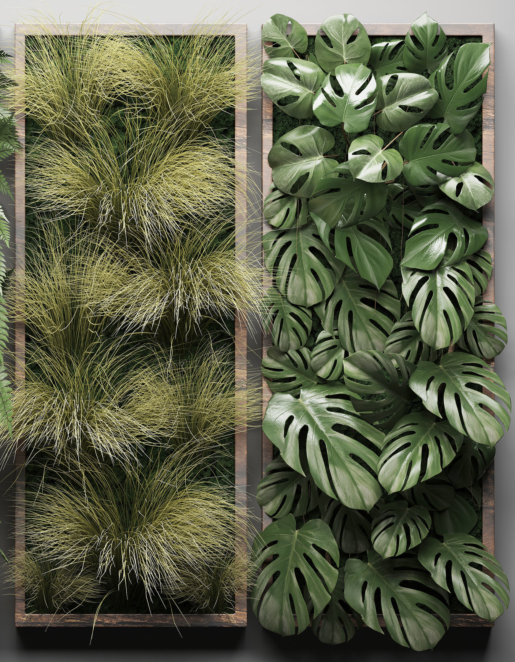 Vertical gardening Fern Wall 3 3D model_3