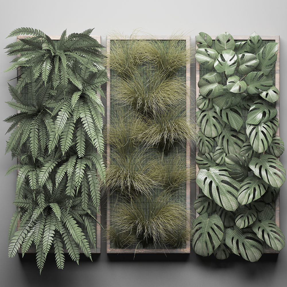 Vertical gardening Fern Wall 3 3D model_8